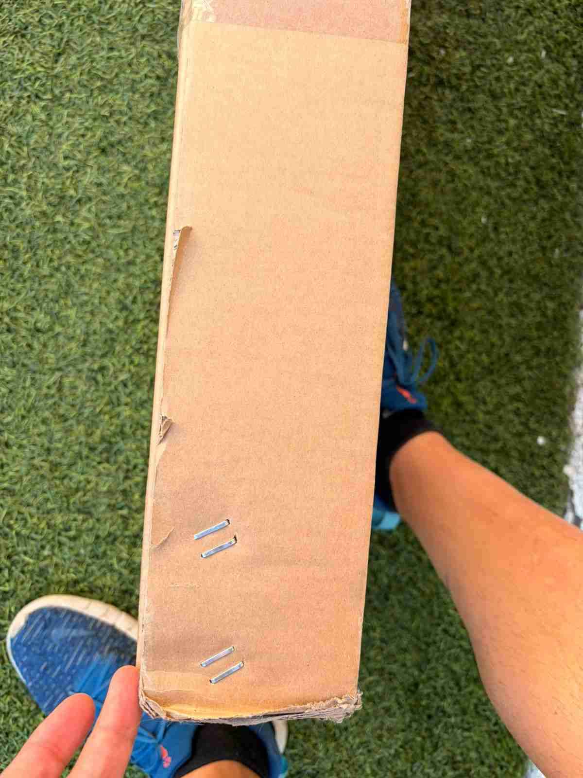 Invernadero túnel grande - miniatura 6