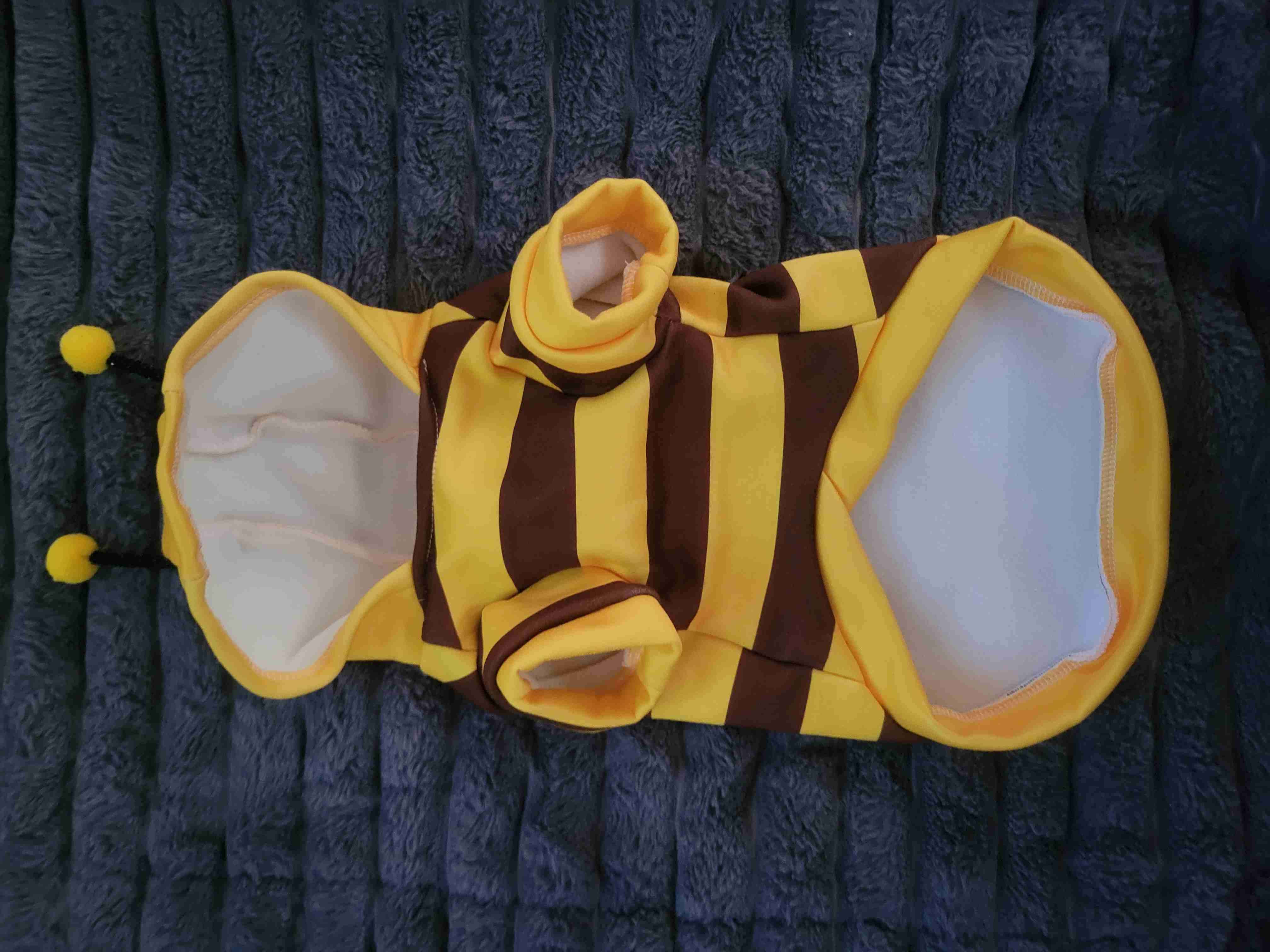 Disfraz de abeja para perro - 1