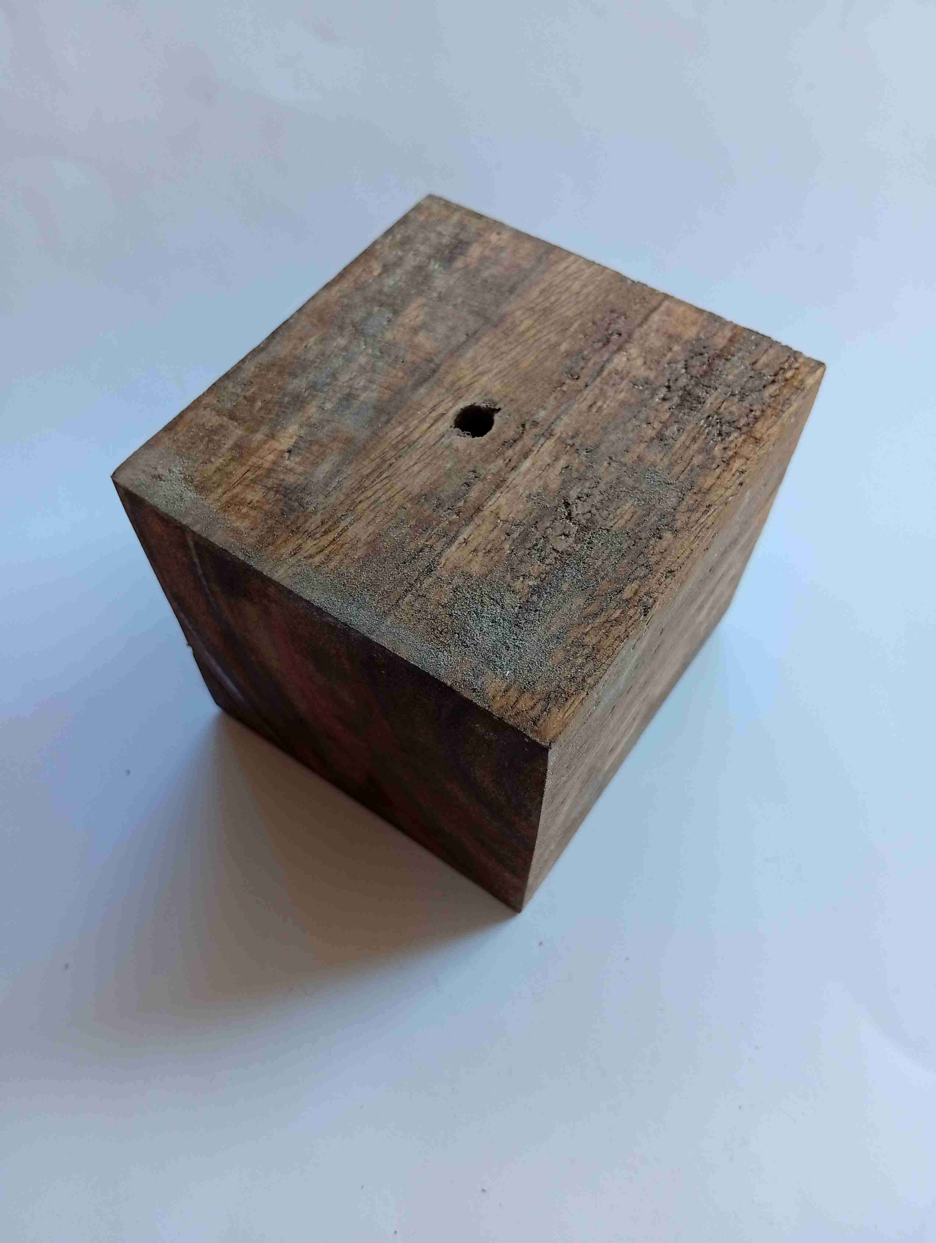 Maceteros para Suculentas y Cactus - 3