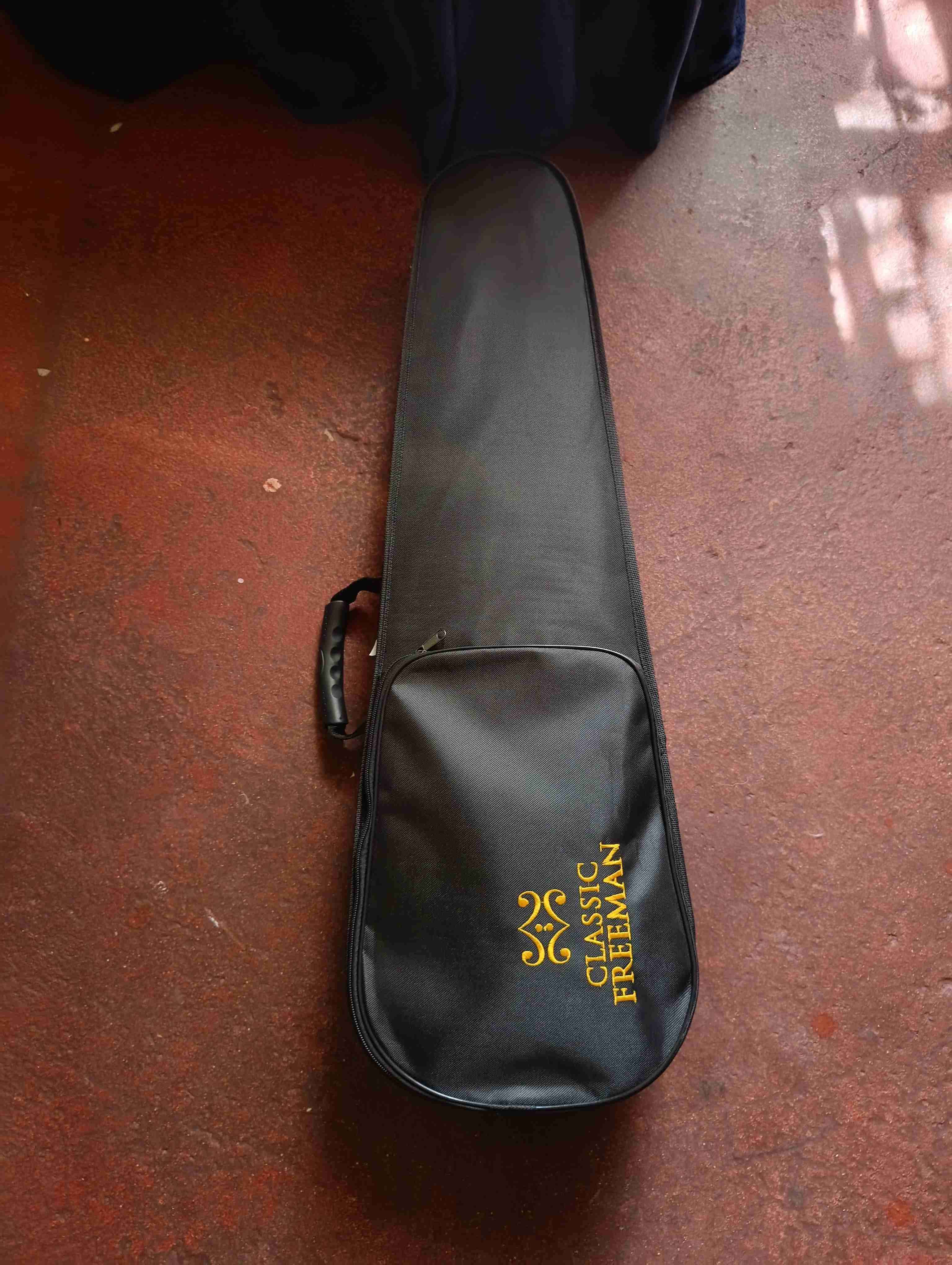 Violín 4/4 SIN USO - 2