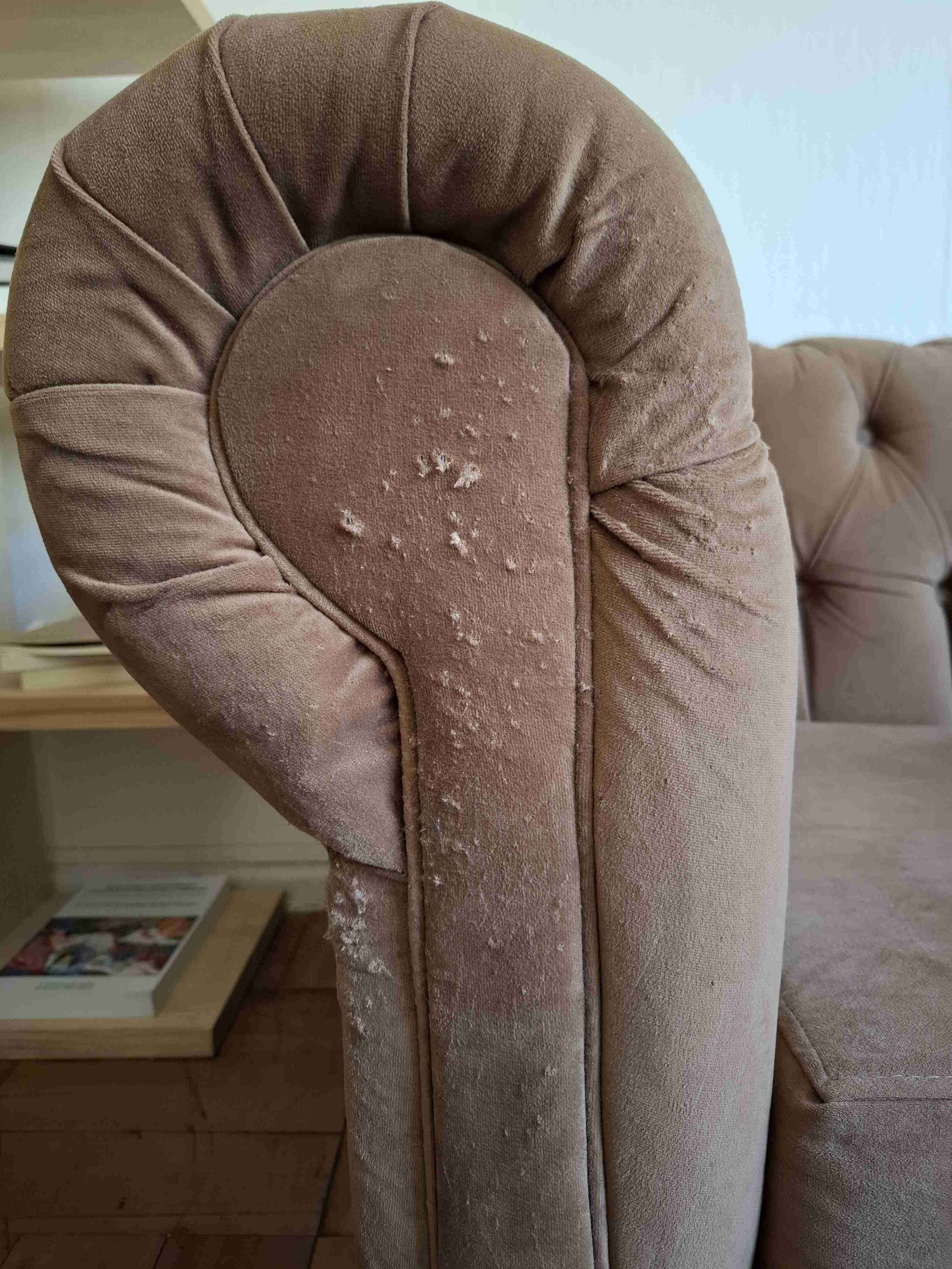 Sofá clásico de terciopelo café - miniatura 3