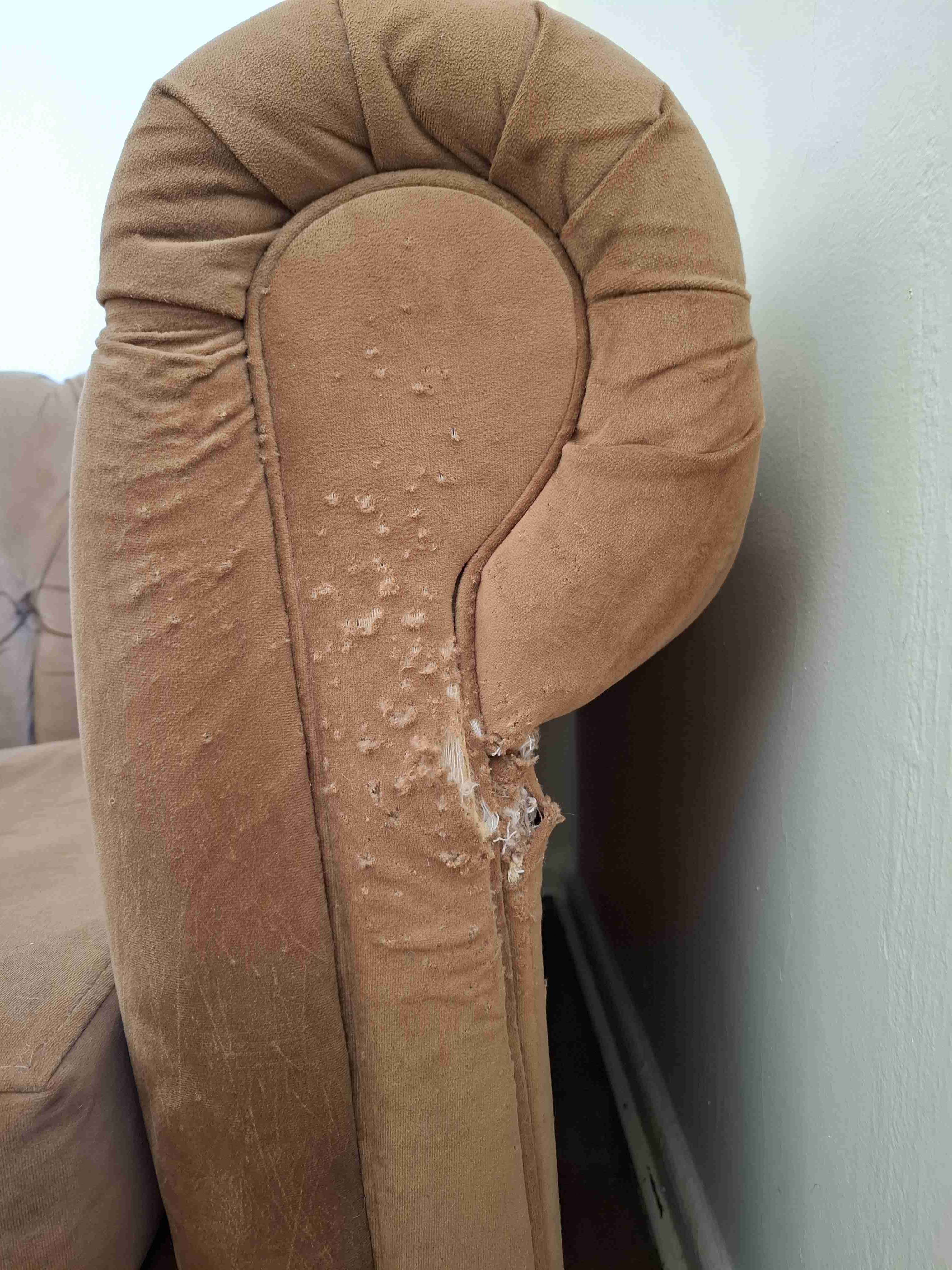 Sofá clásico de terciopelo café - miniatura 4