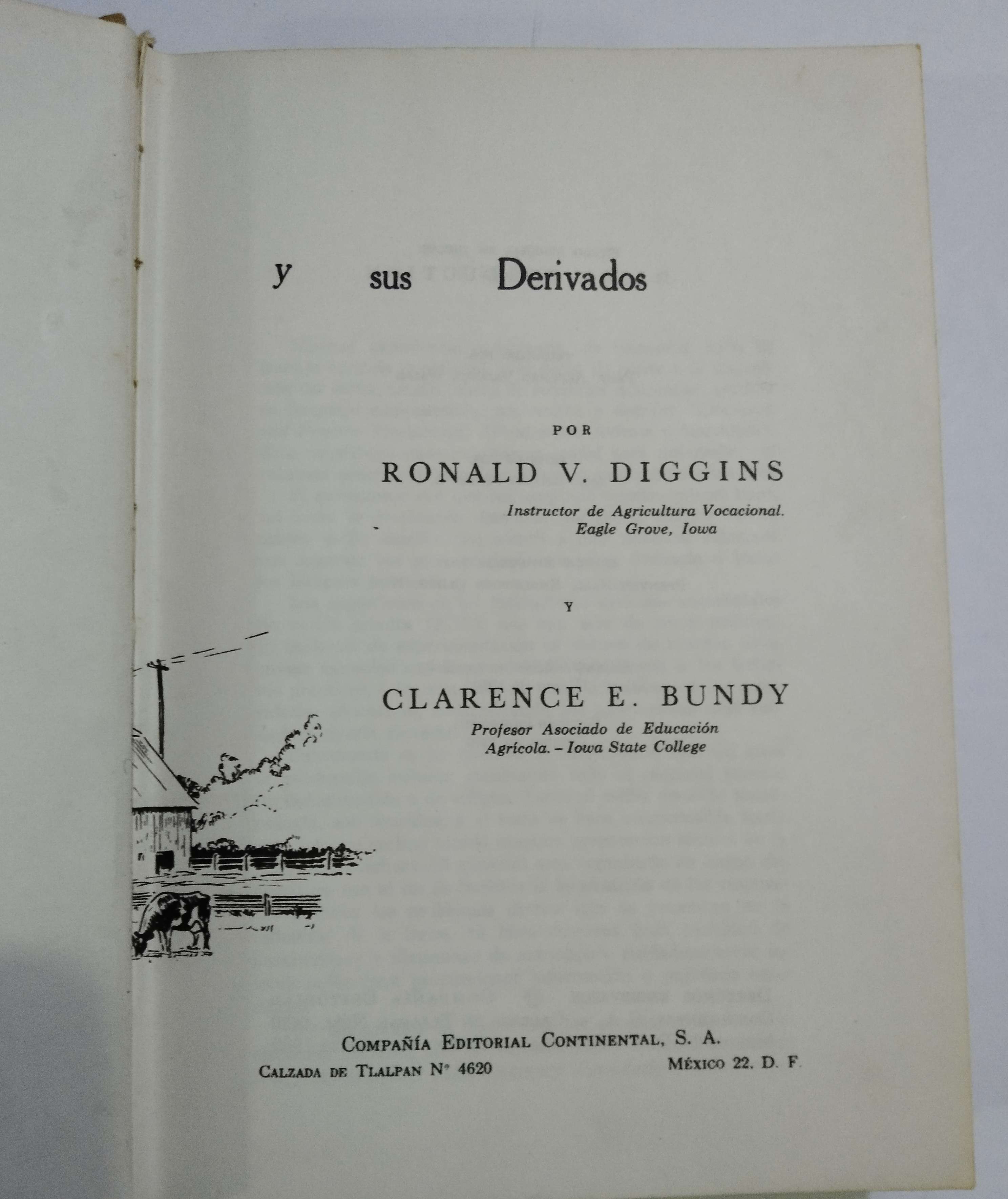 PINTANDO AL GOUACHE - 4