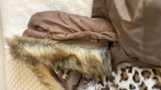 Chaqueta acolchada marrón con capucha - miniatura 2