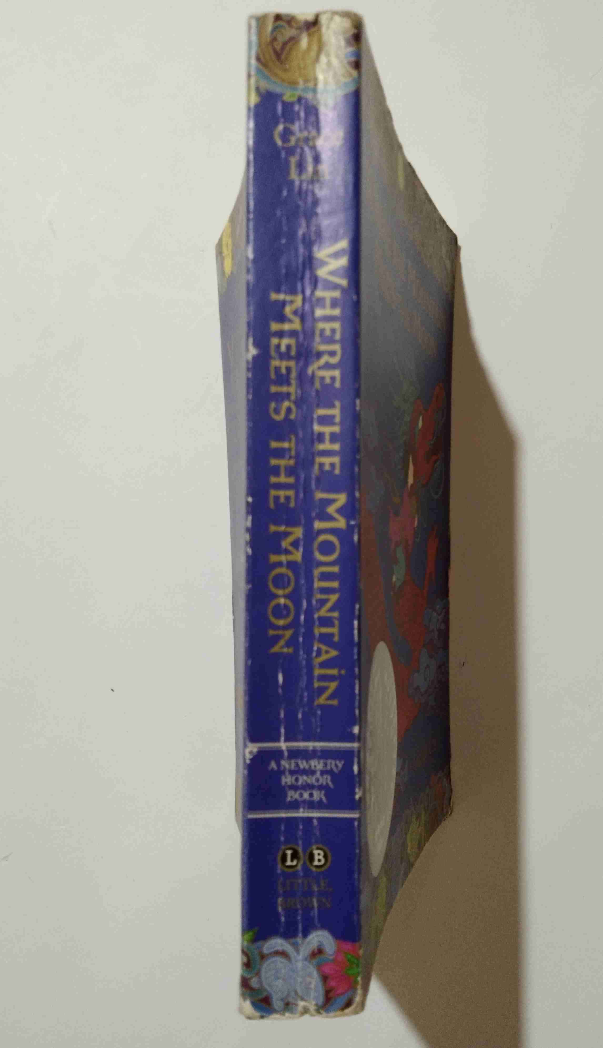 DONDE LA MONTAÑA SE ENCUENTRA CON LA LUNA INGLES - miniatura 4