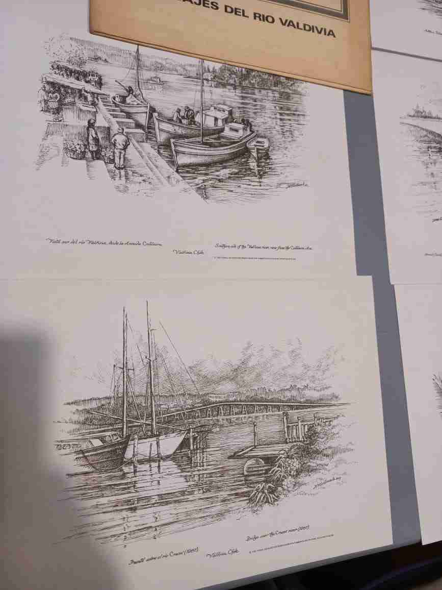 Laminas Paisajes del Río Valdivia - 4