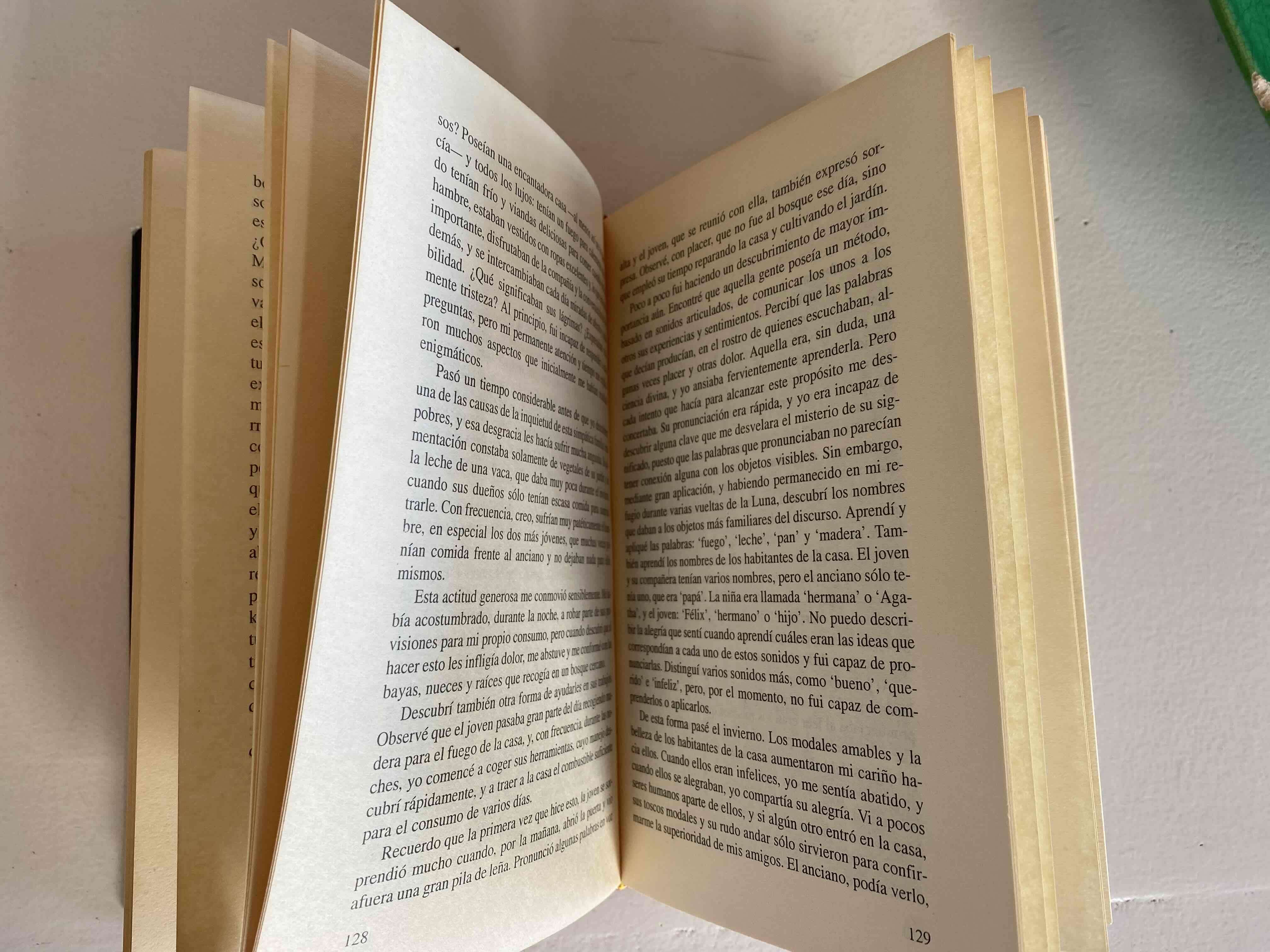 Libro Frankenstein Mary Shelley - miniatura 3