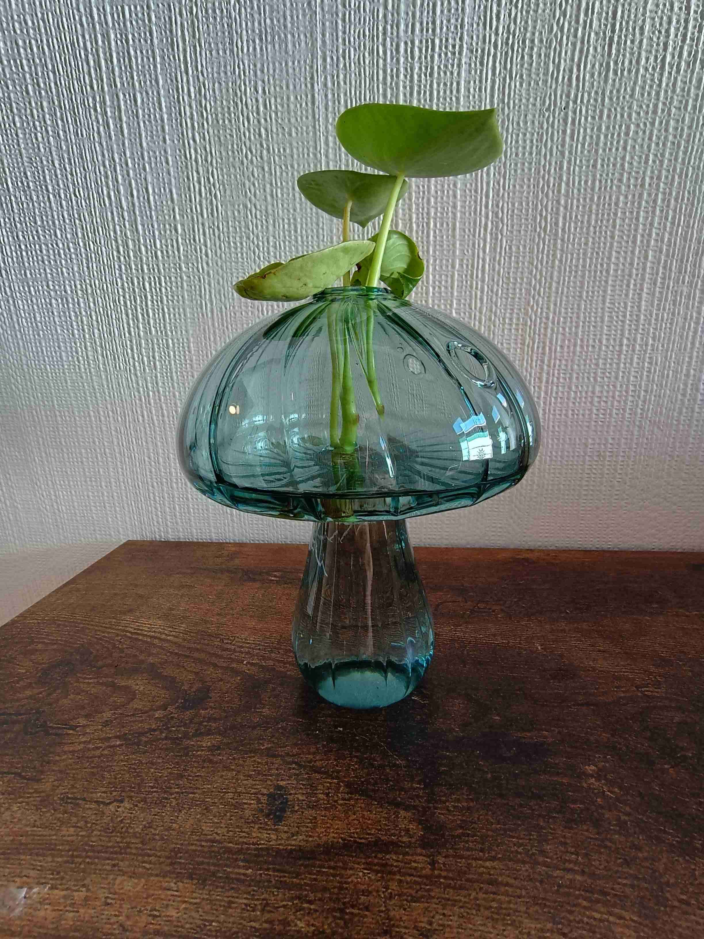 Plantas - miniatura 2