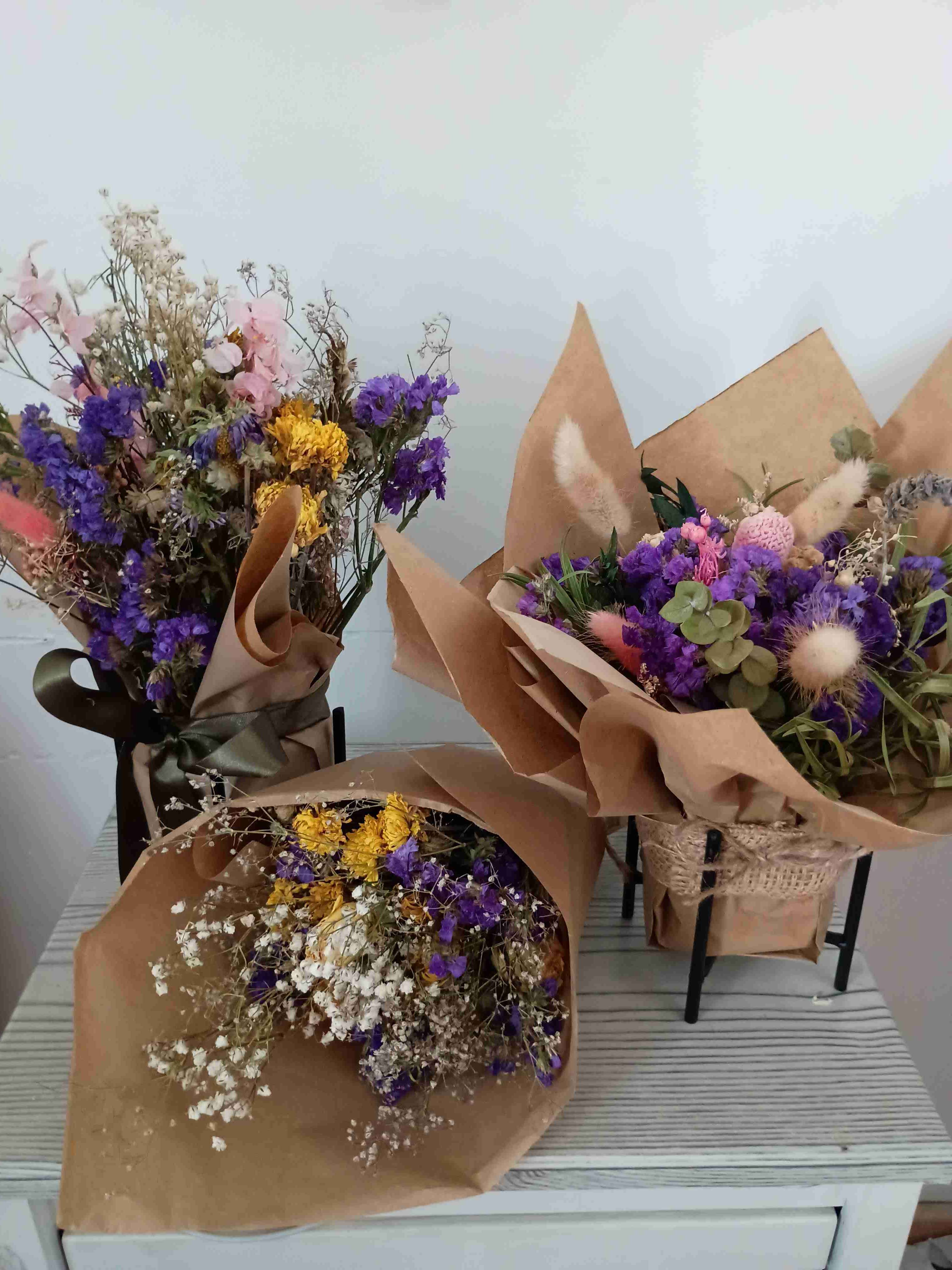 Plantas - miniatura 3