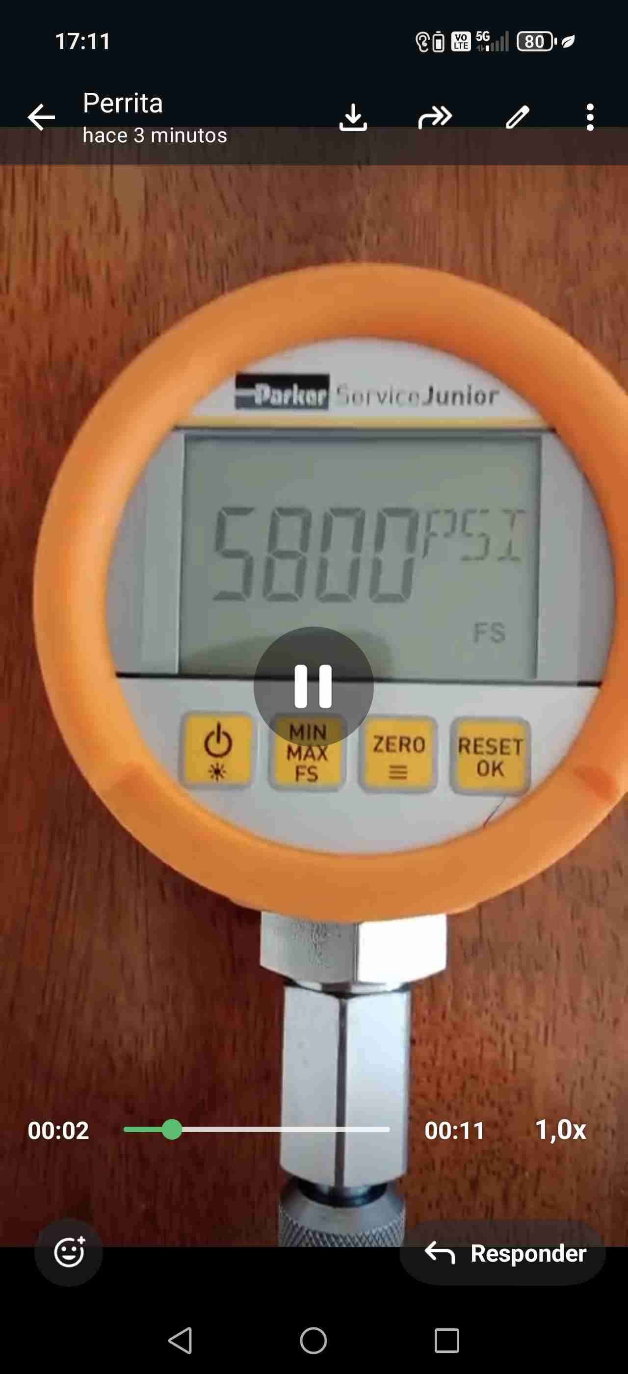 Medidor de presión Parker ServiceJunior - 5