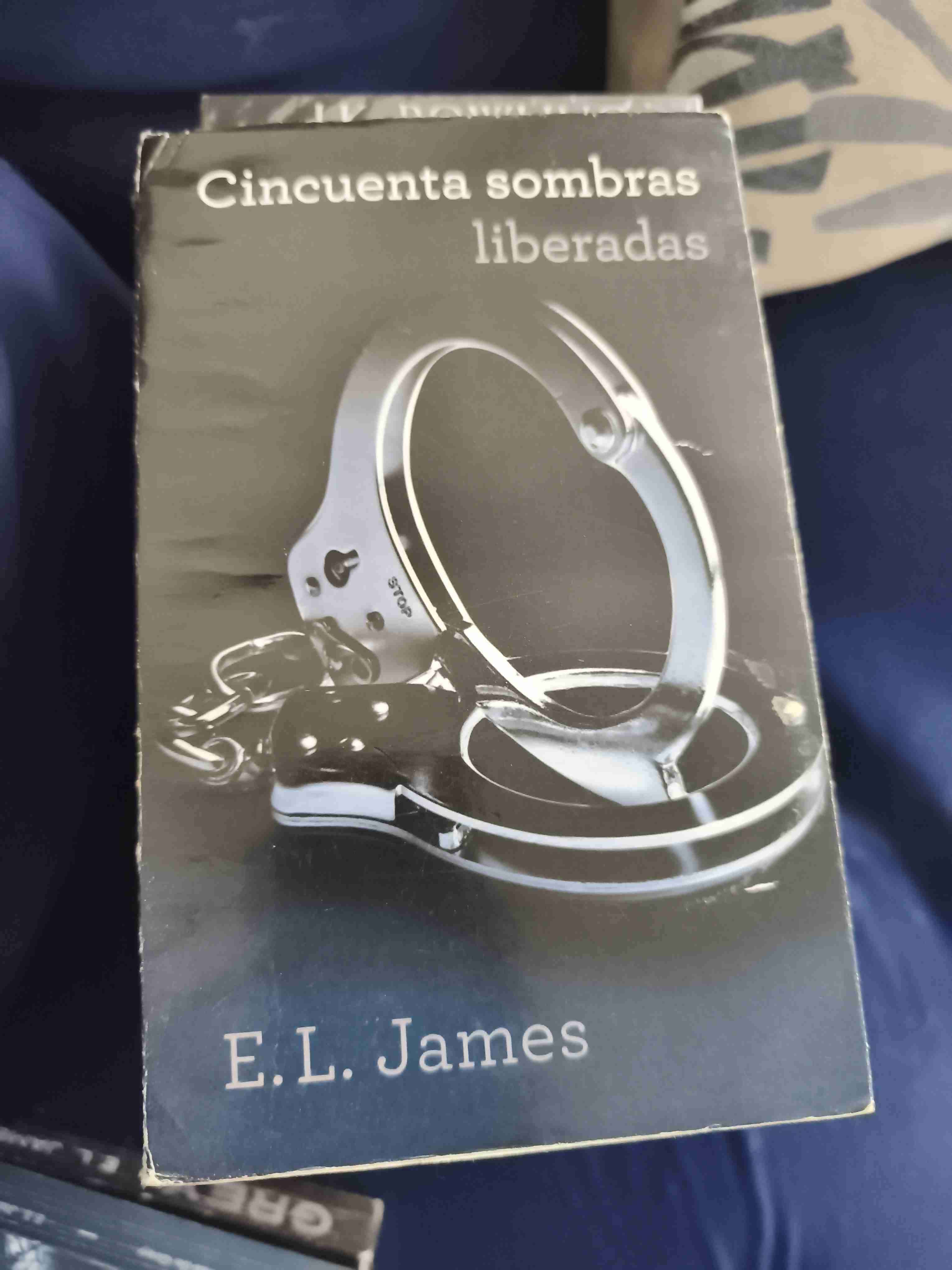 Cincuenta sombras liberadas libro - 1