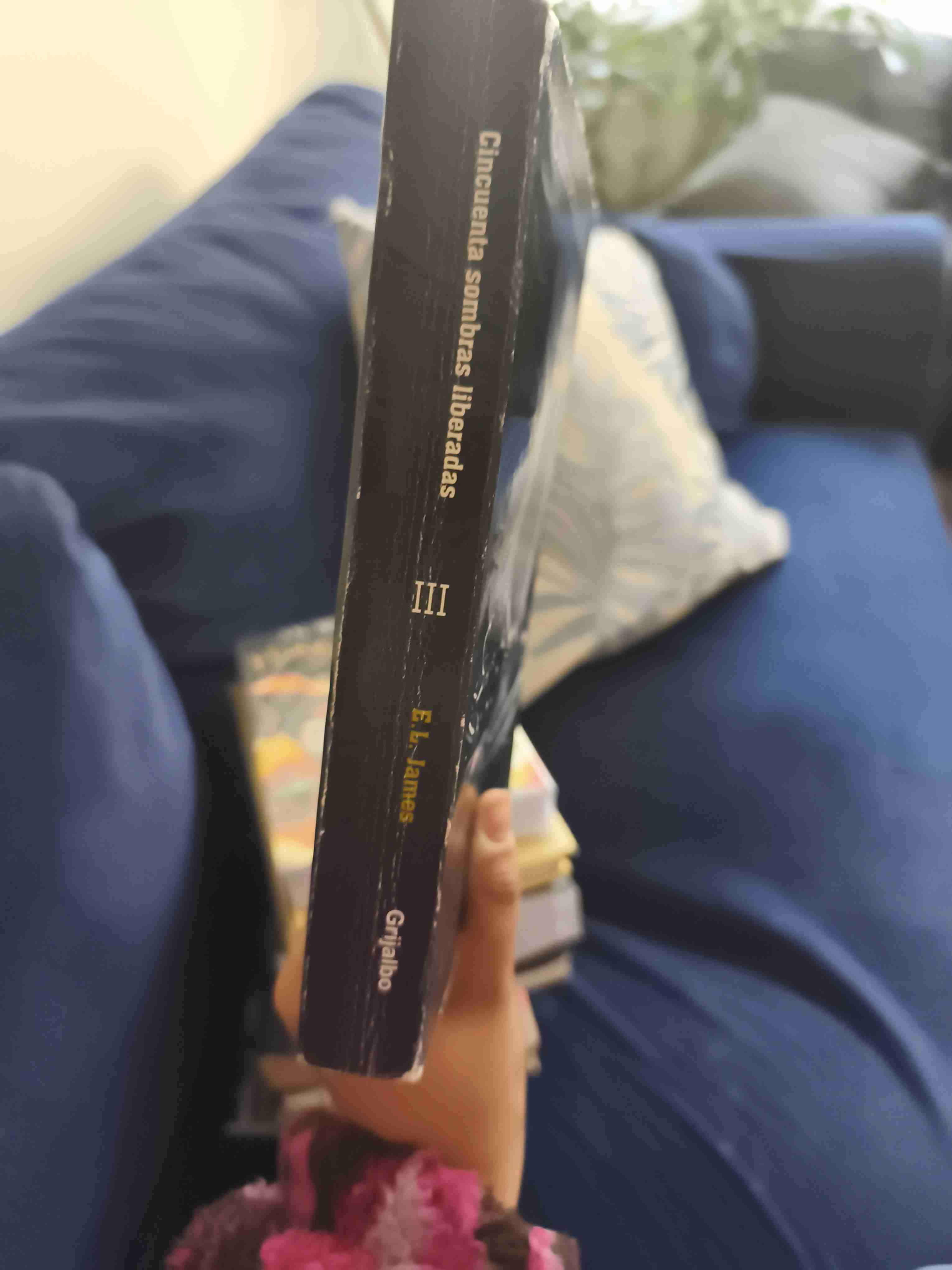 Cincuenta sombras liberadas libro - 2