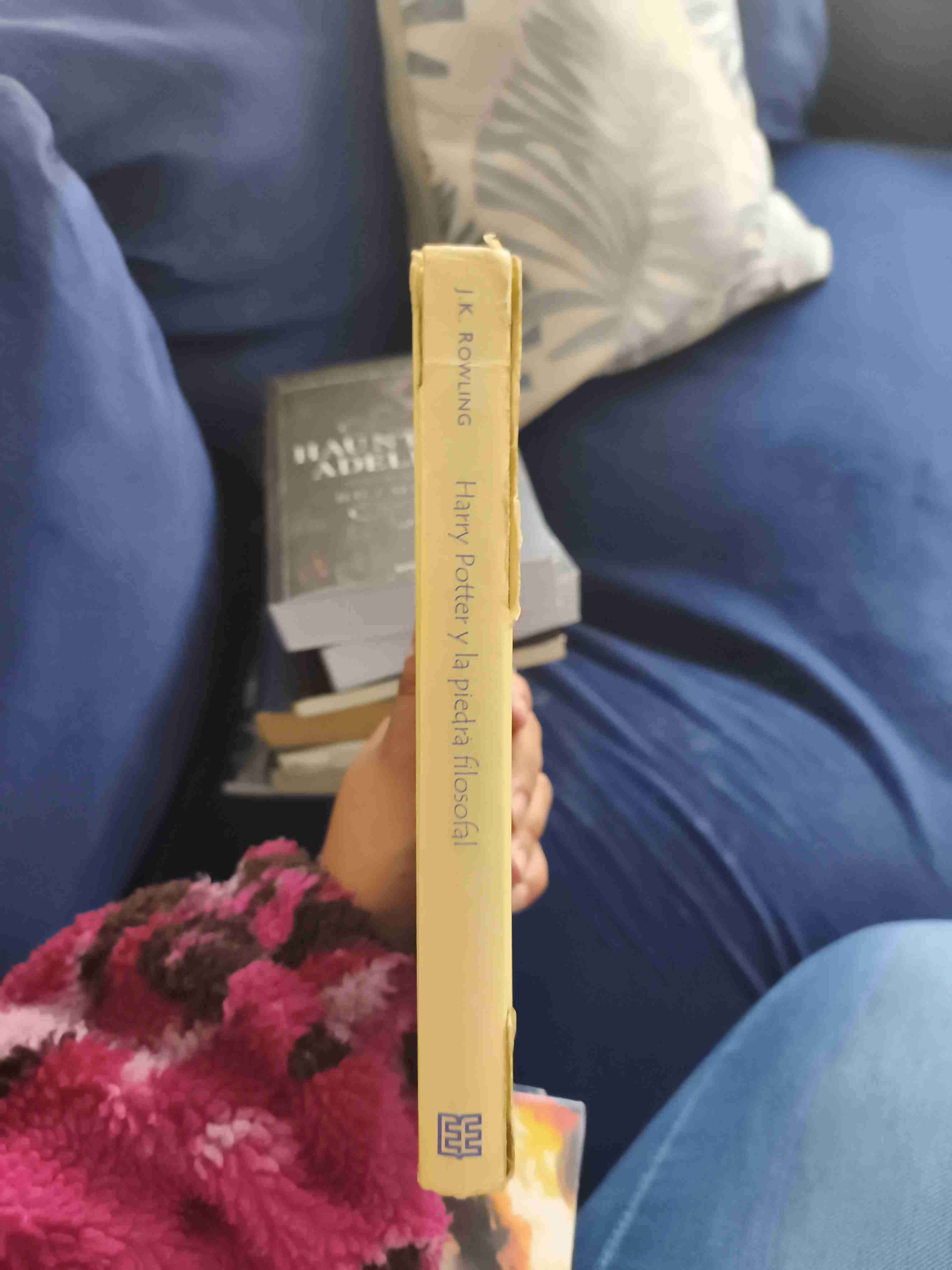 Libro Harry Potter Piedra Filosofal - 2