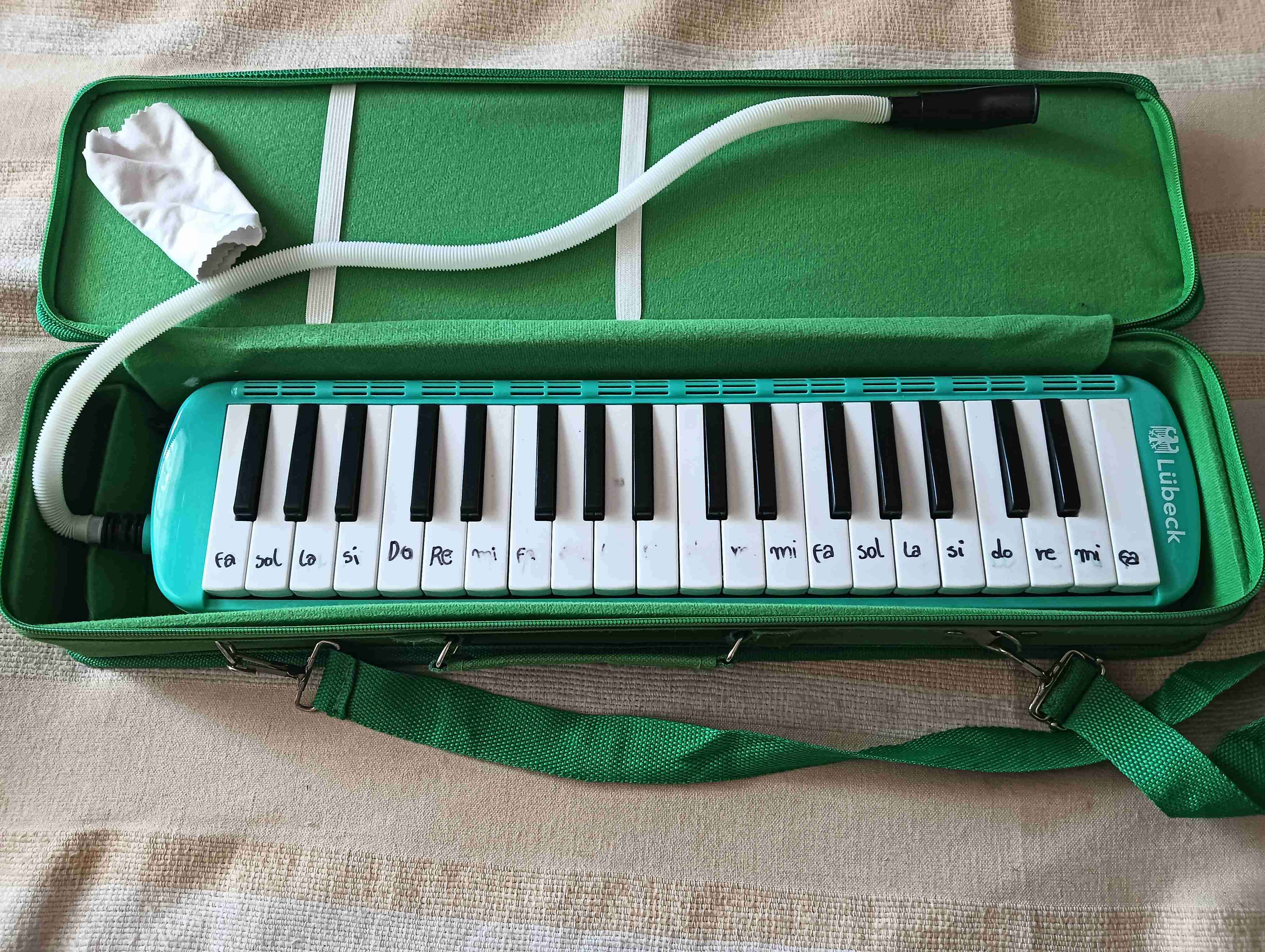 Melódica Lübeck verde con estuche