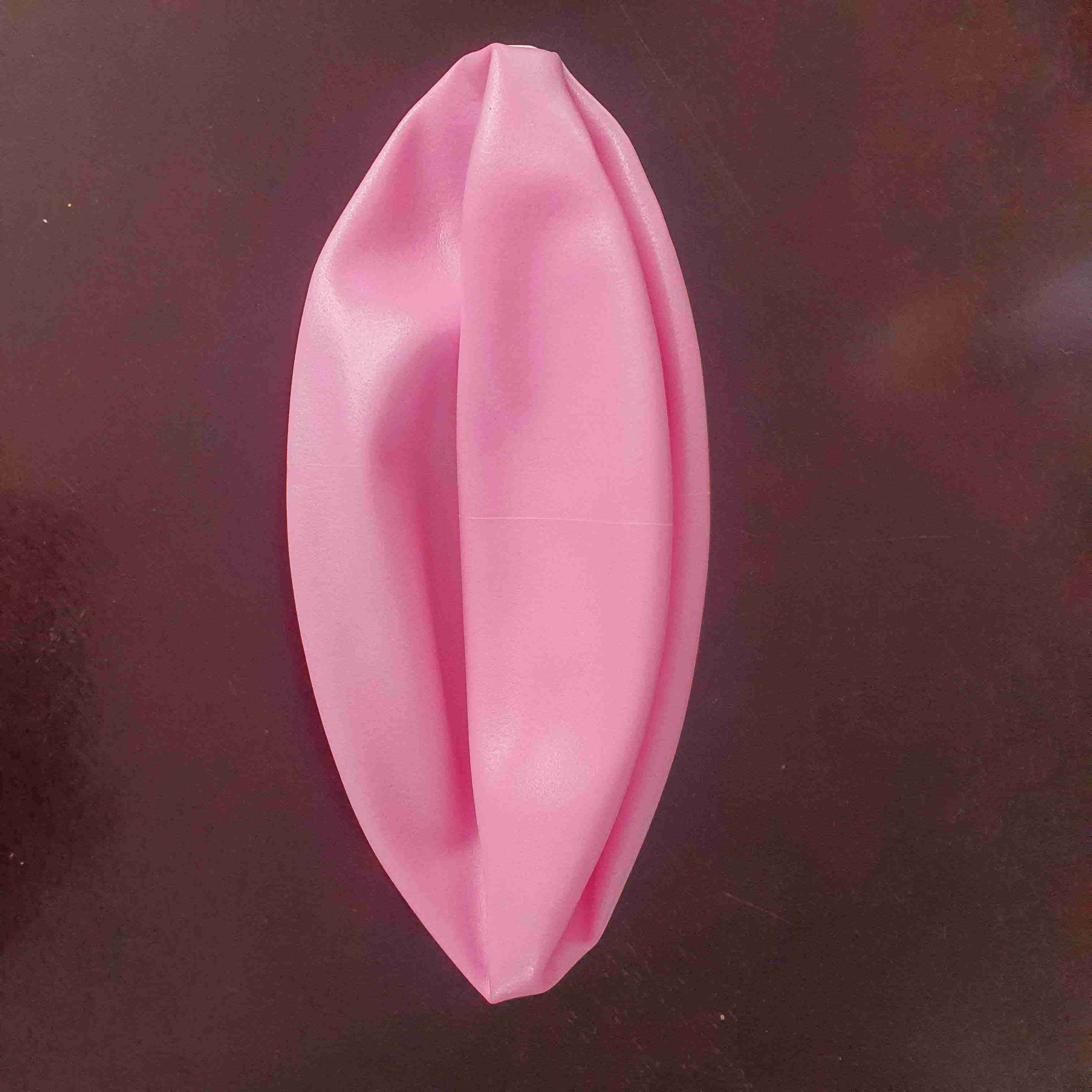 Banda elástica de resistencia rosa - miniatura 4