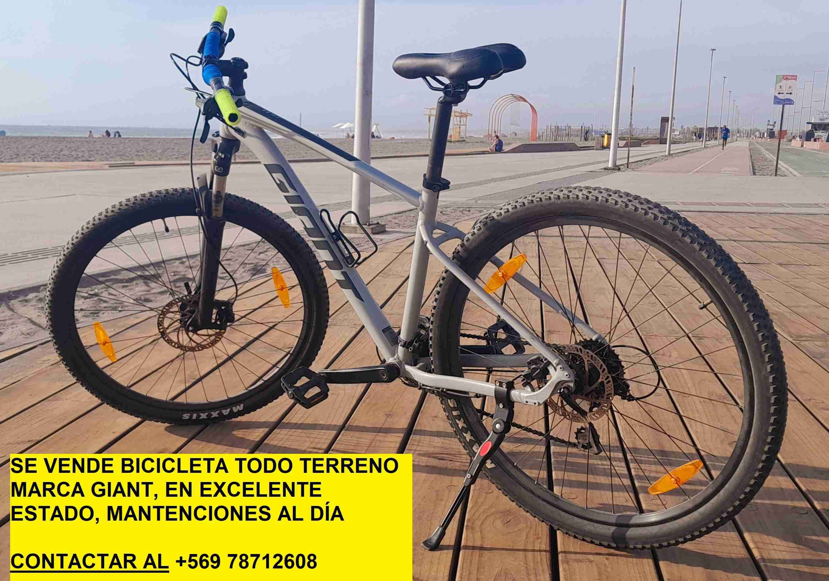 Bicicleta todo terreno Giant