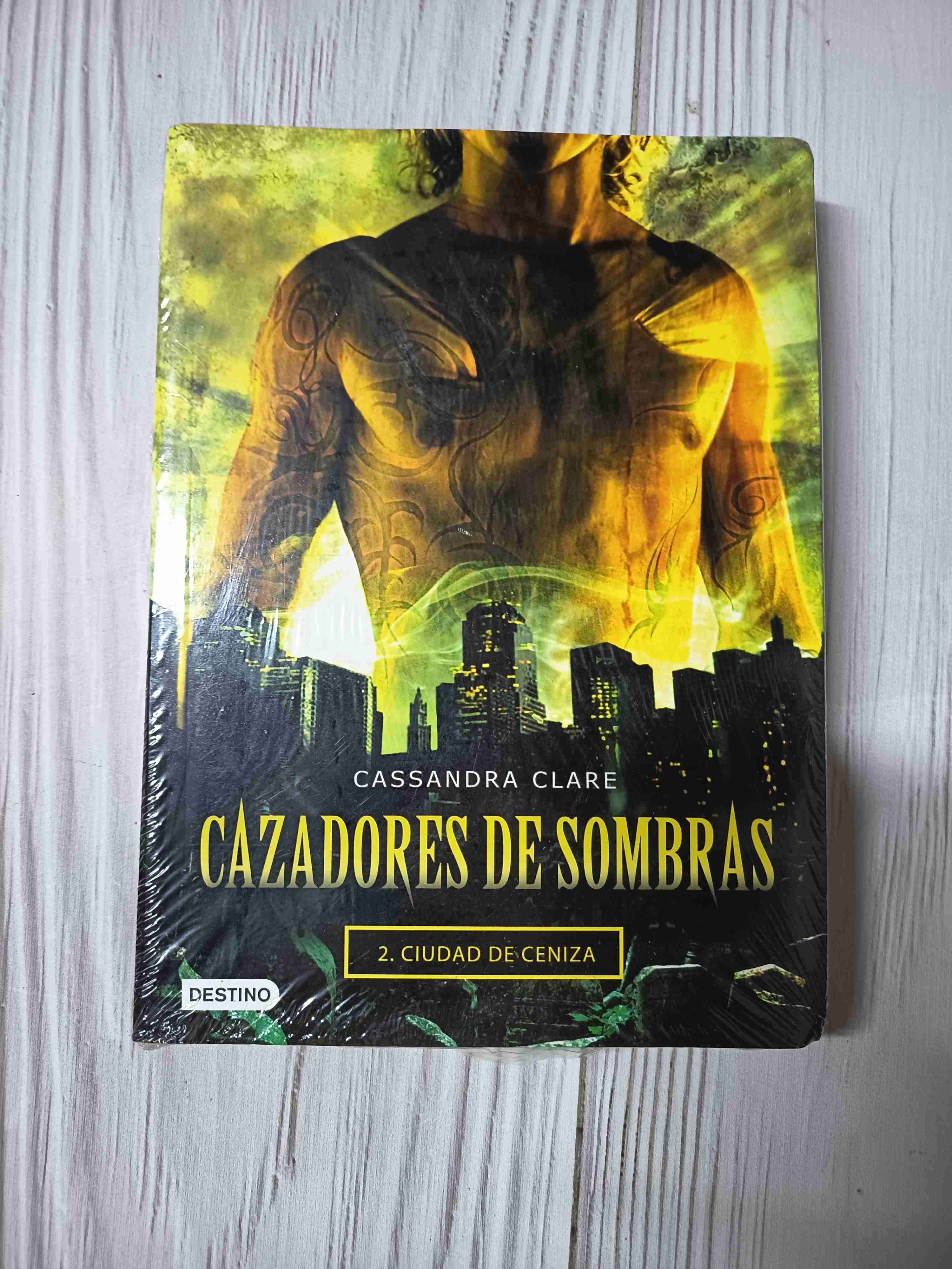 Cazadores de Sombras: Ciudad de Ceniza - miniatura 1