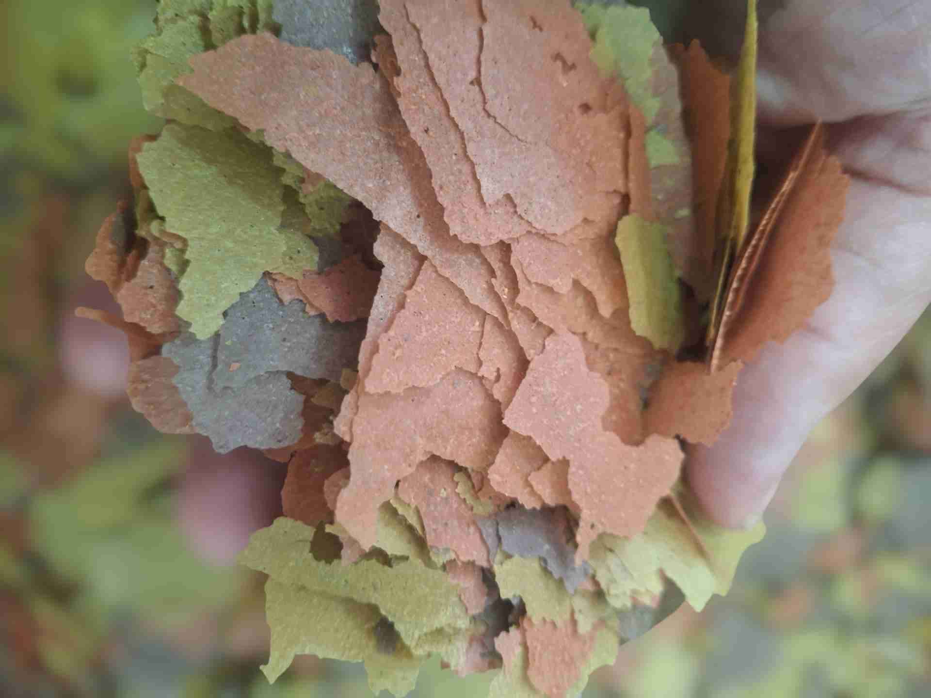 Alimento en escamas para peces