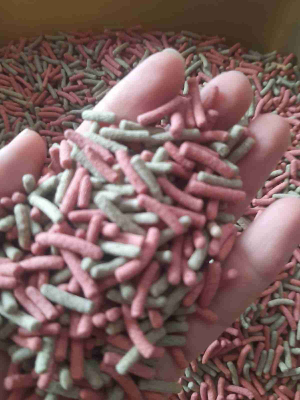 Pellet mixto alimento comida peces y tortugas agua