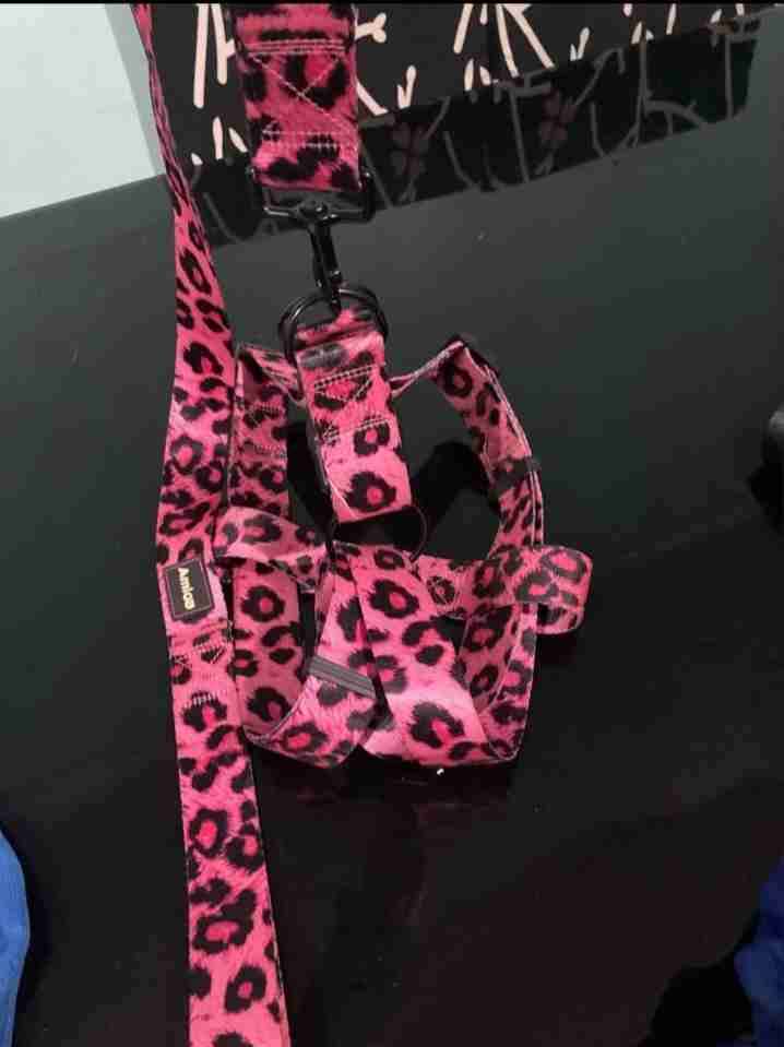 Arnés rosa para mascotas - 1