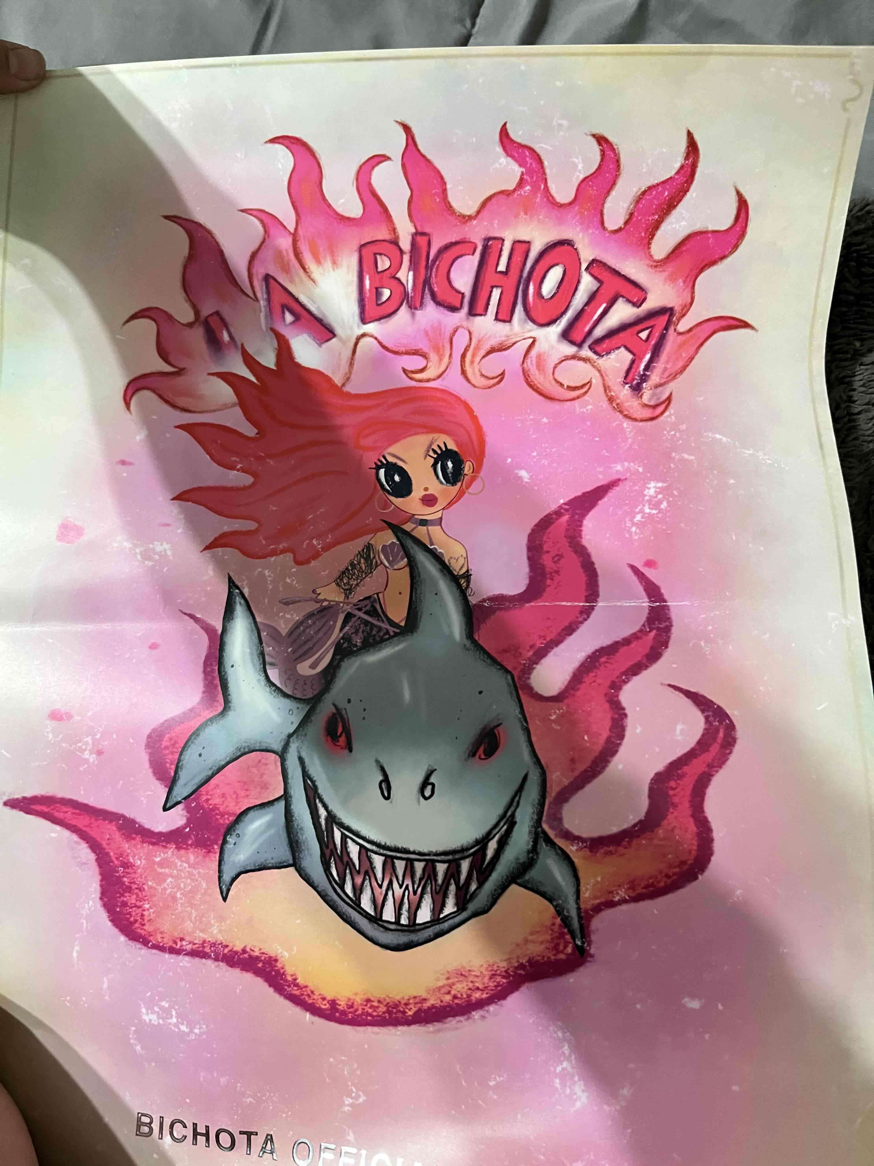 Poster Bichota Tour Original - 1