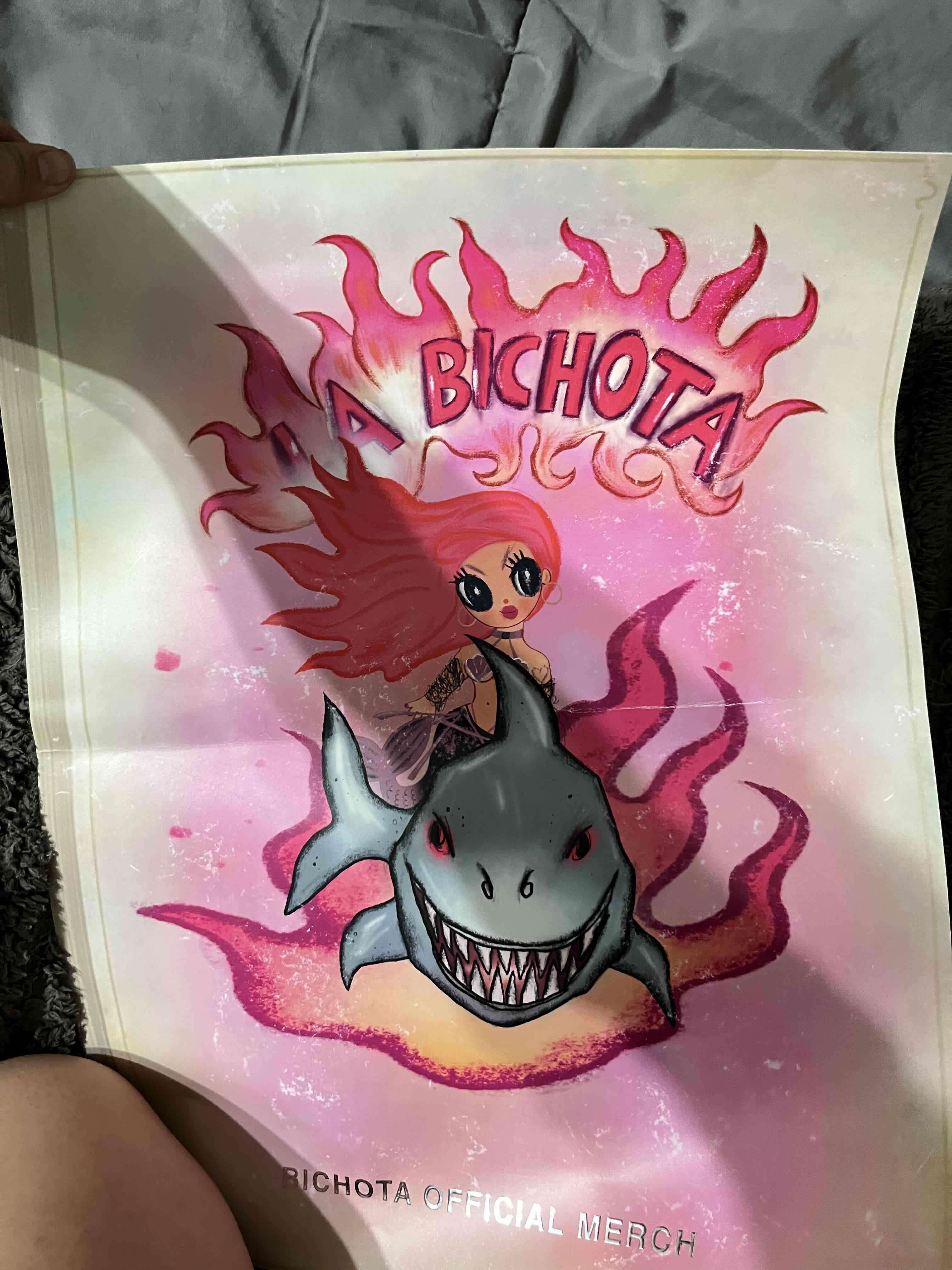 Poster Bichota Tour Original - 2