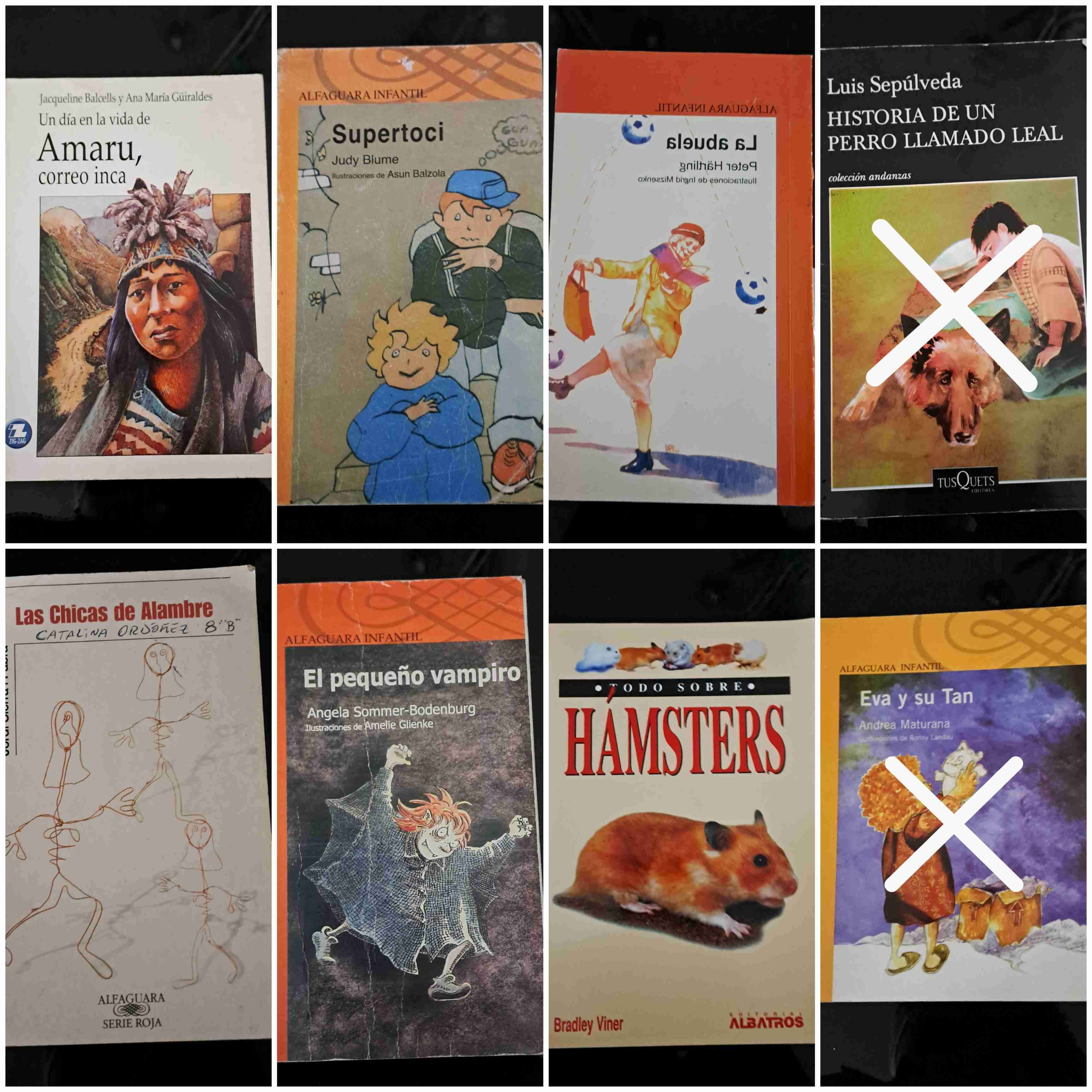 libros complementarios - 2