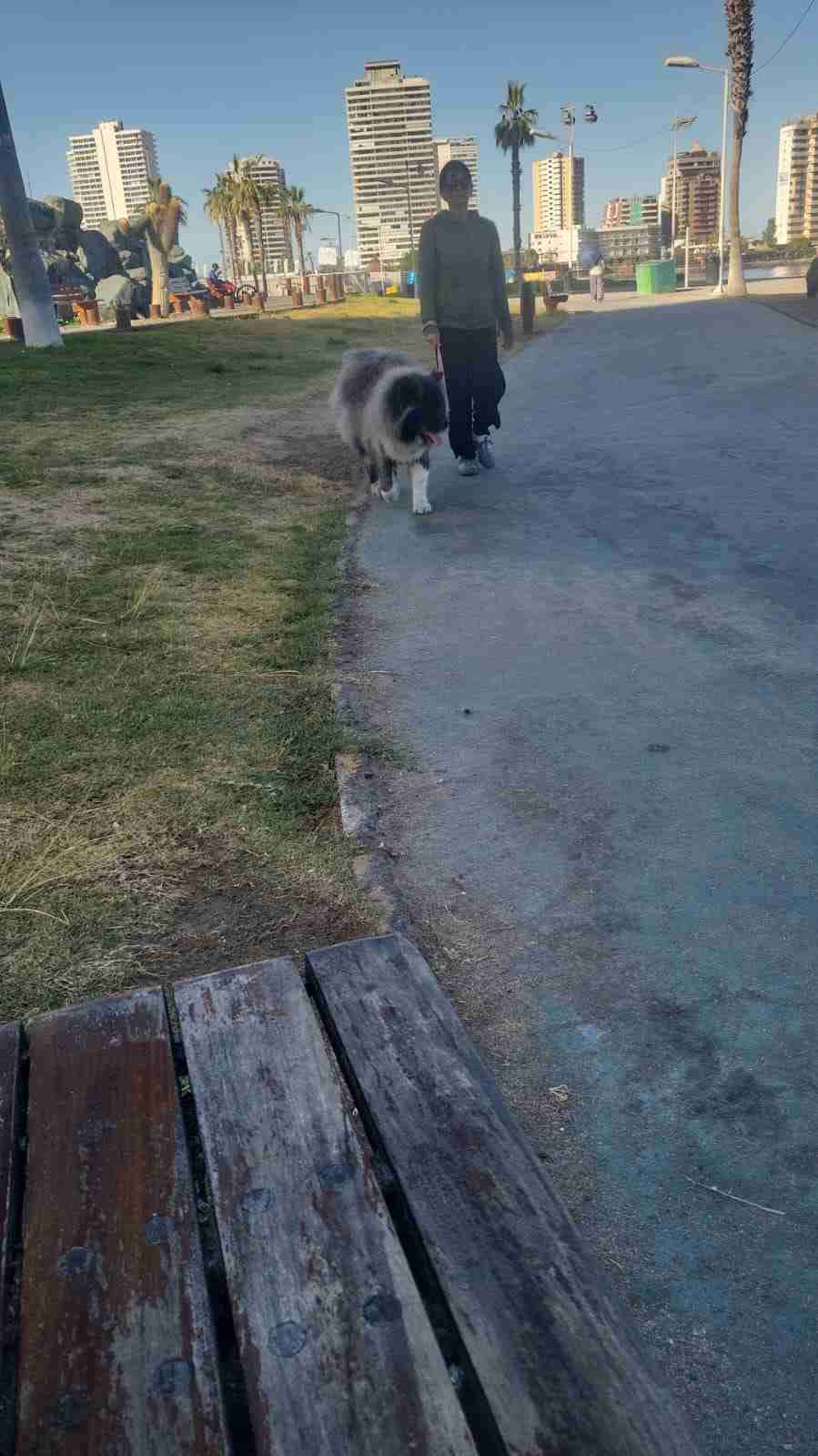 Repuestos tv tarjetas Main y poder - miniatura 1