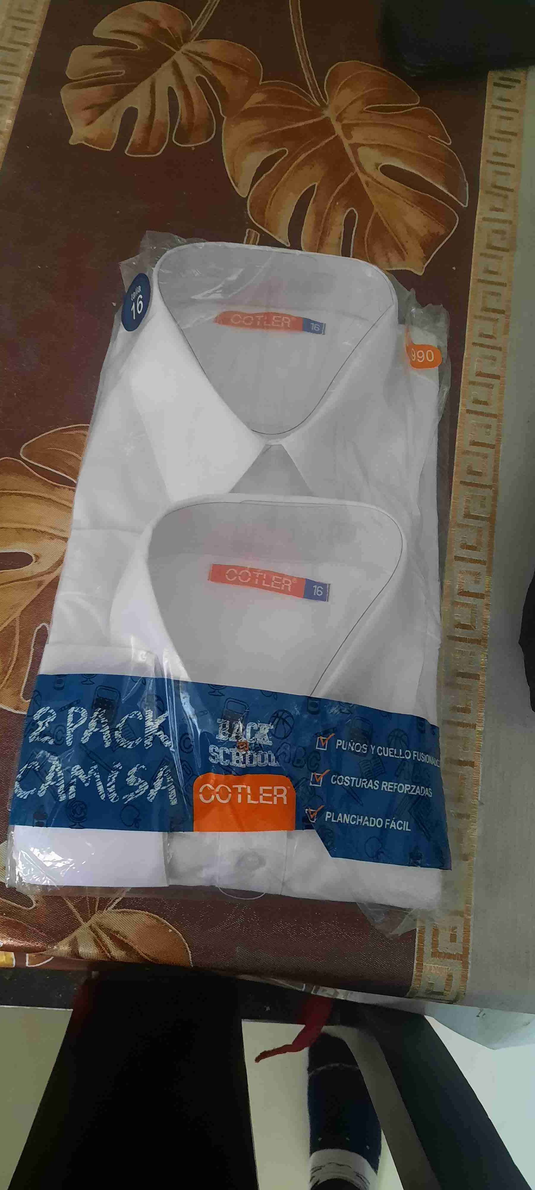 Pack de dos camisas blancas Cotler