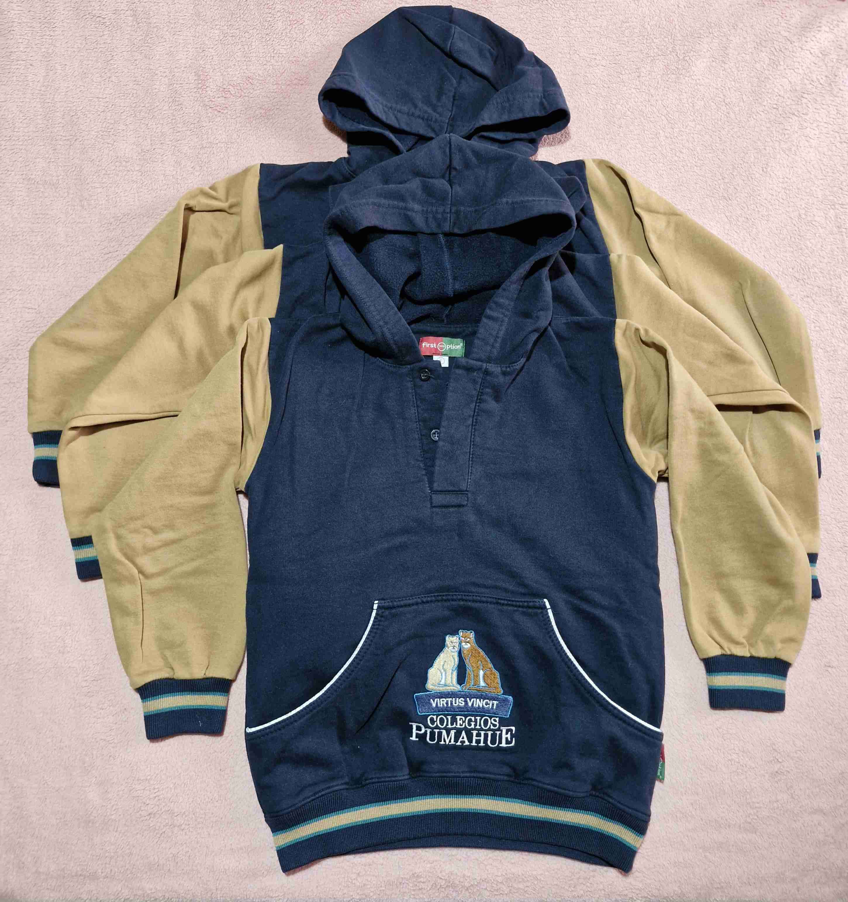 Uniforme Colegio Pumahue