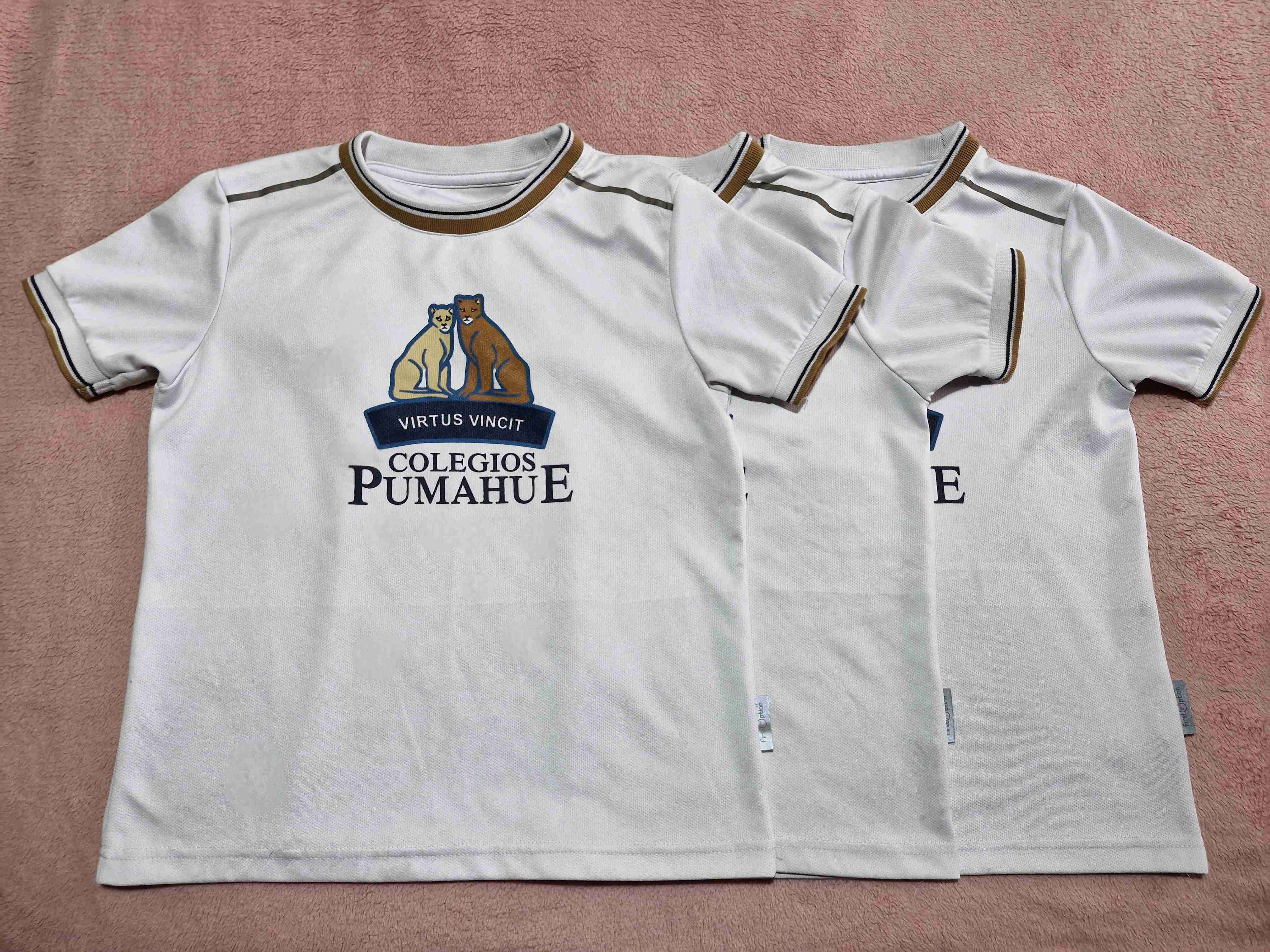 Uniforme Colegio Pumahue - 5