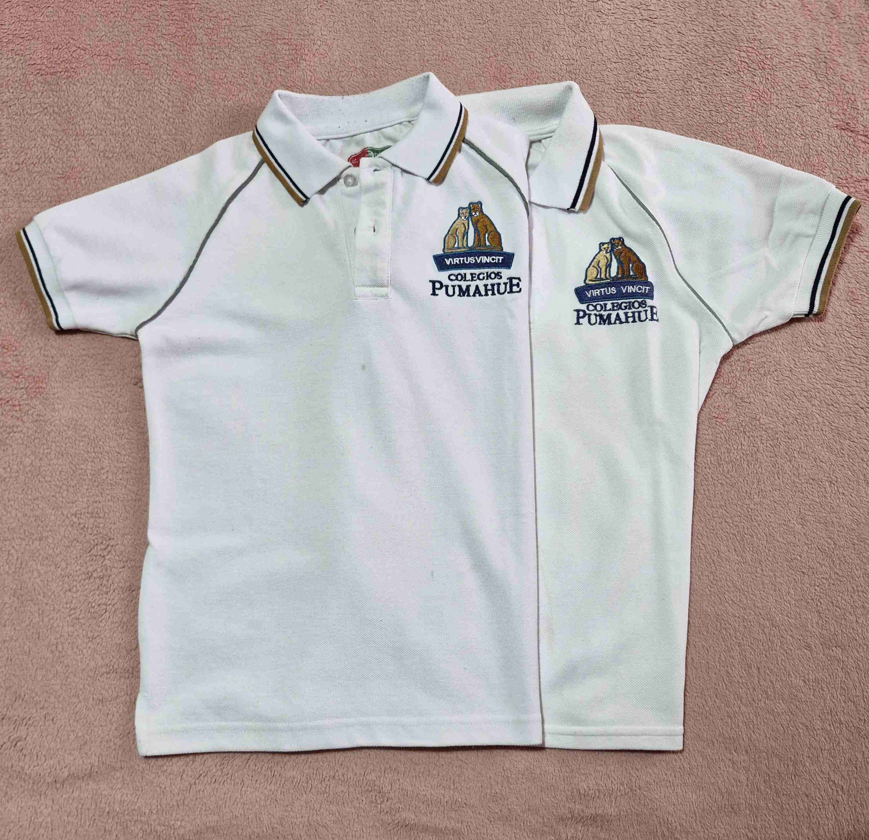 Uniforme Colegio Pumahue - 6