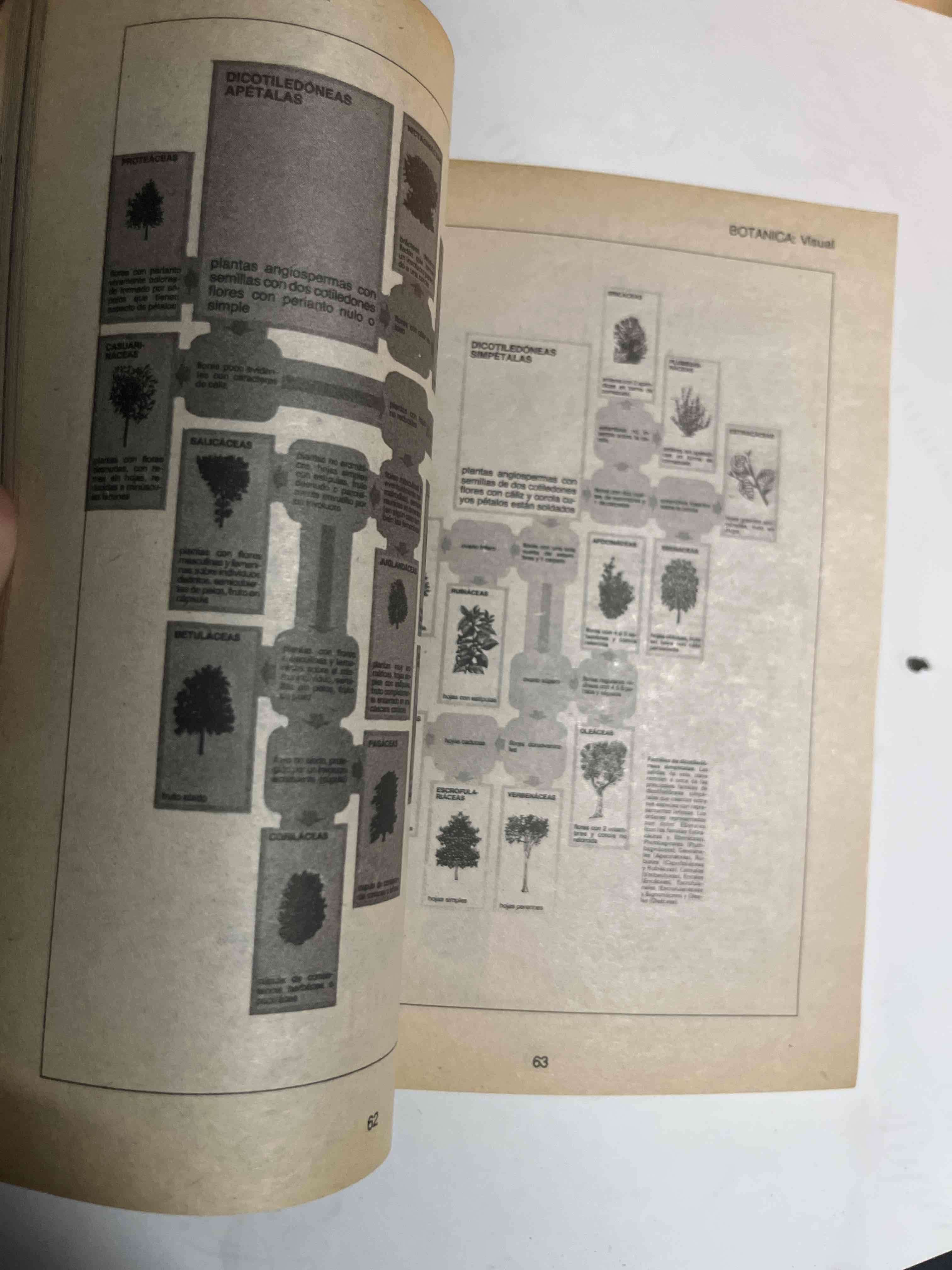 Enciclopedia de la Ciencia Tomo II - miniatura 3