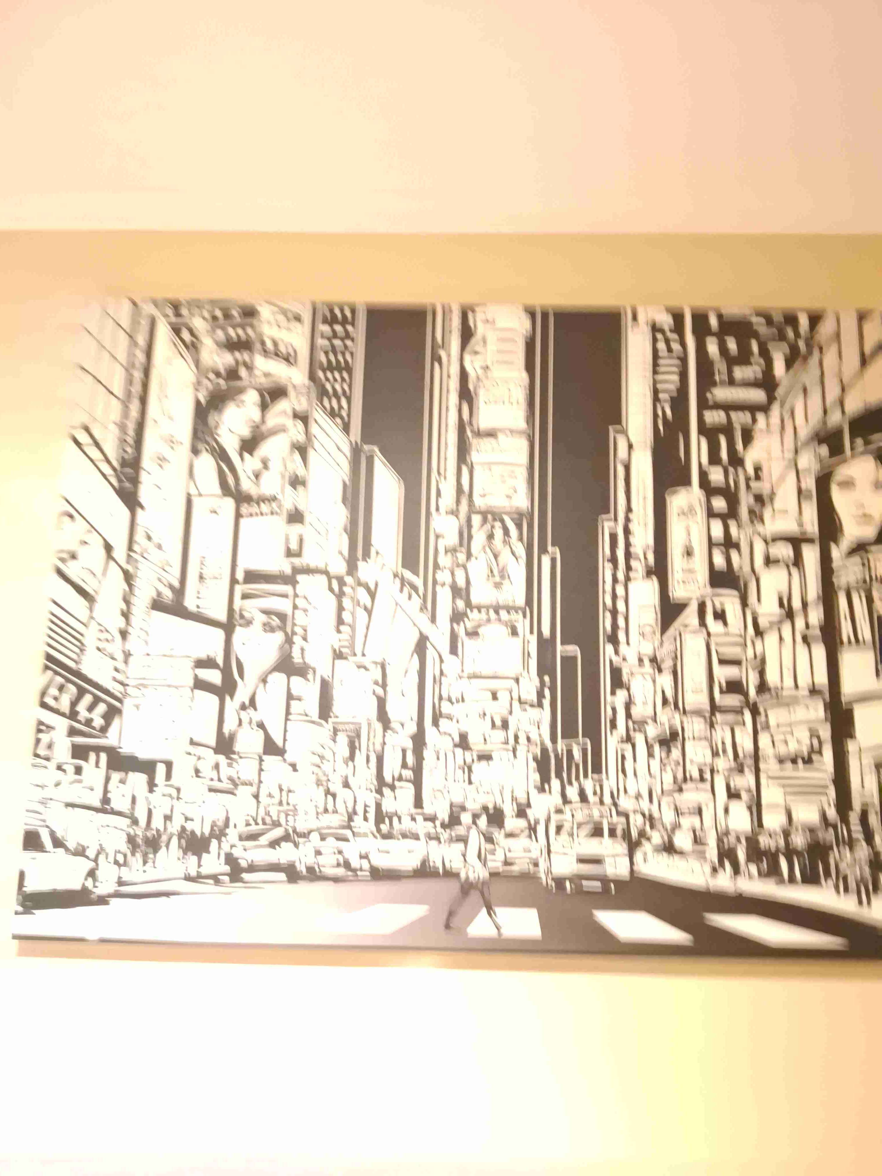 Cuadro artístico ciudad en blanco y negro