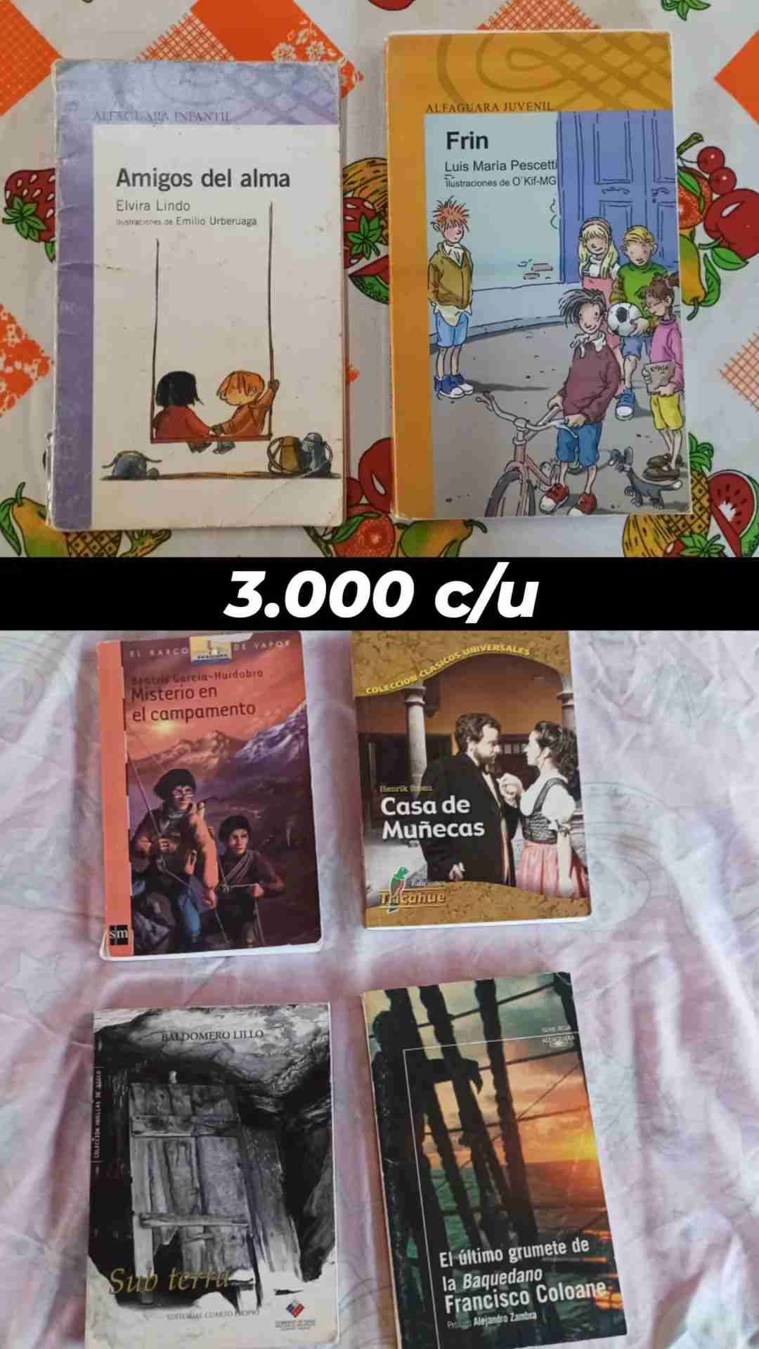 Lote de libros variados usados