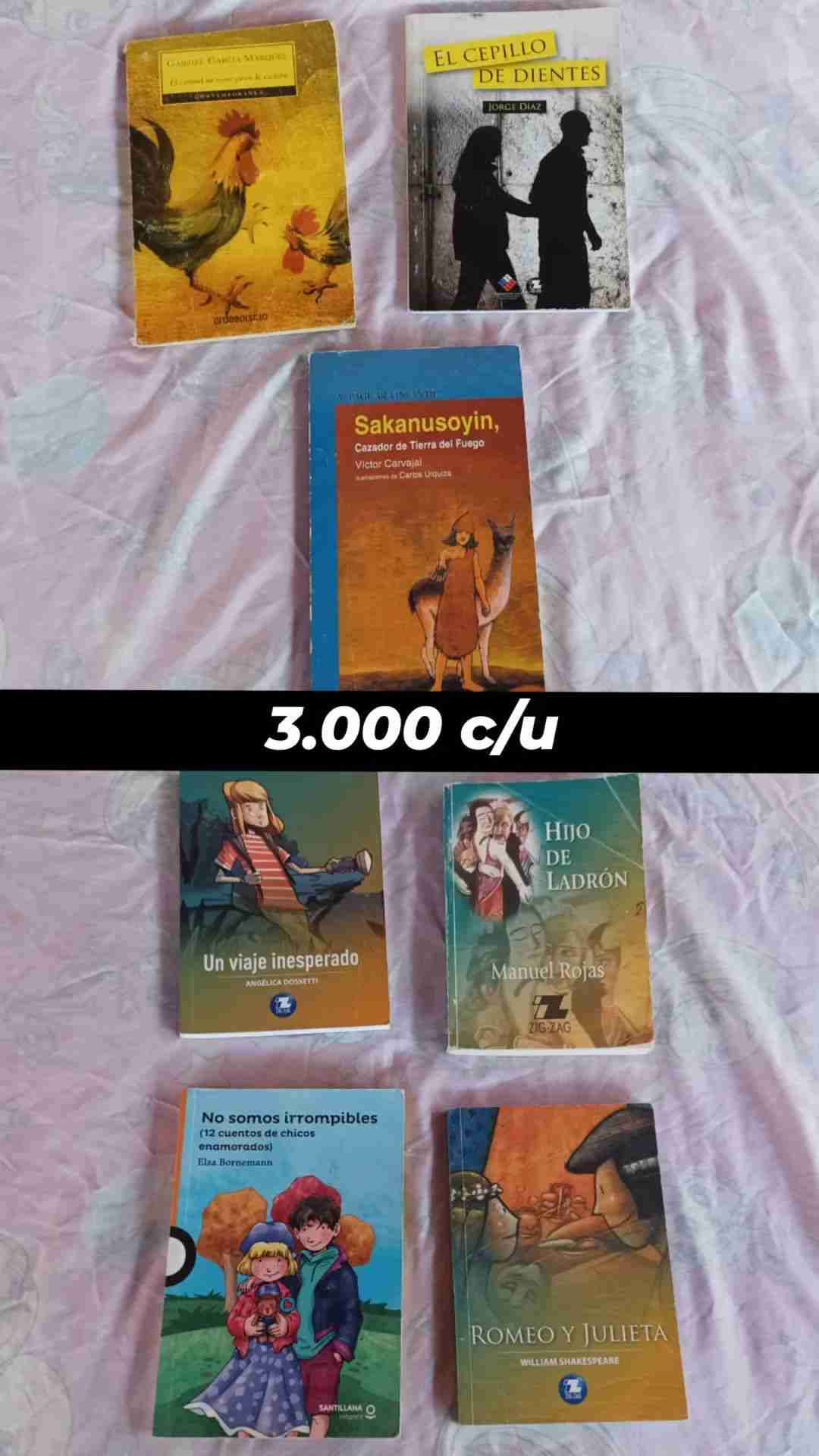 Lote de libros variados usados - miniatura 2
