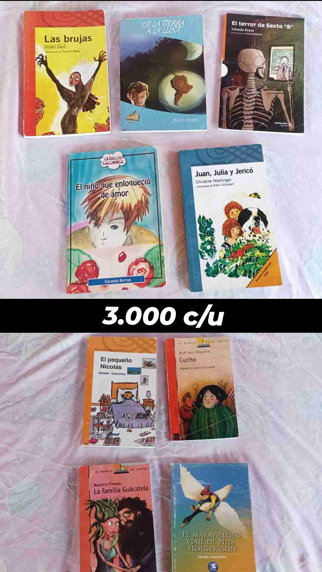 Lote de libros variados usados - miniatura 3