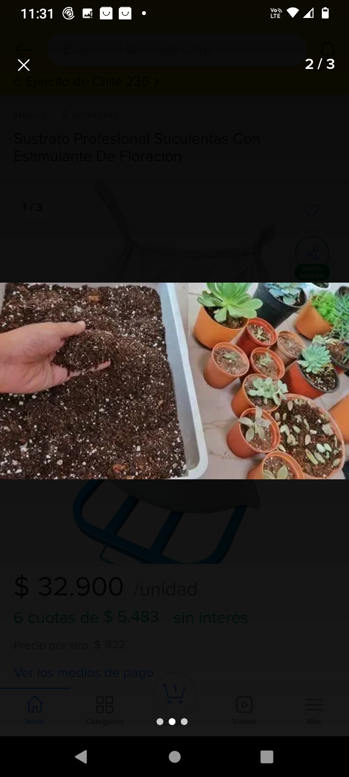 Sustrato 40L para cactus y suculentas - miniatura 2