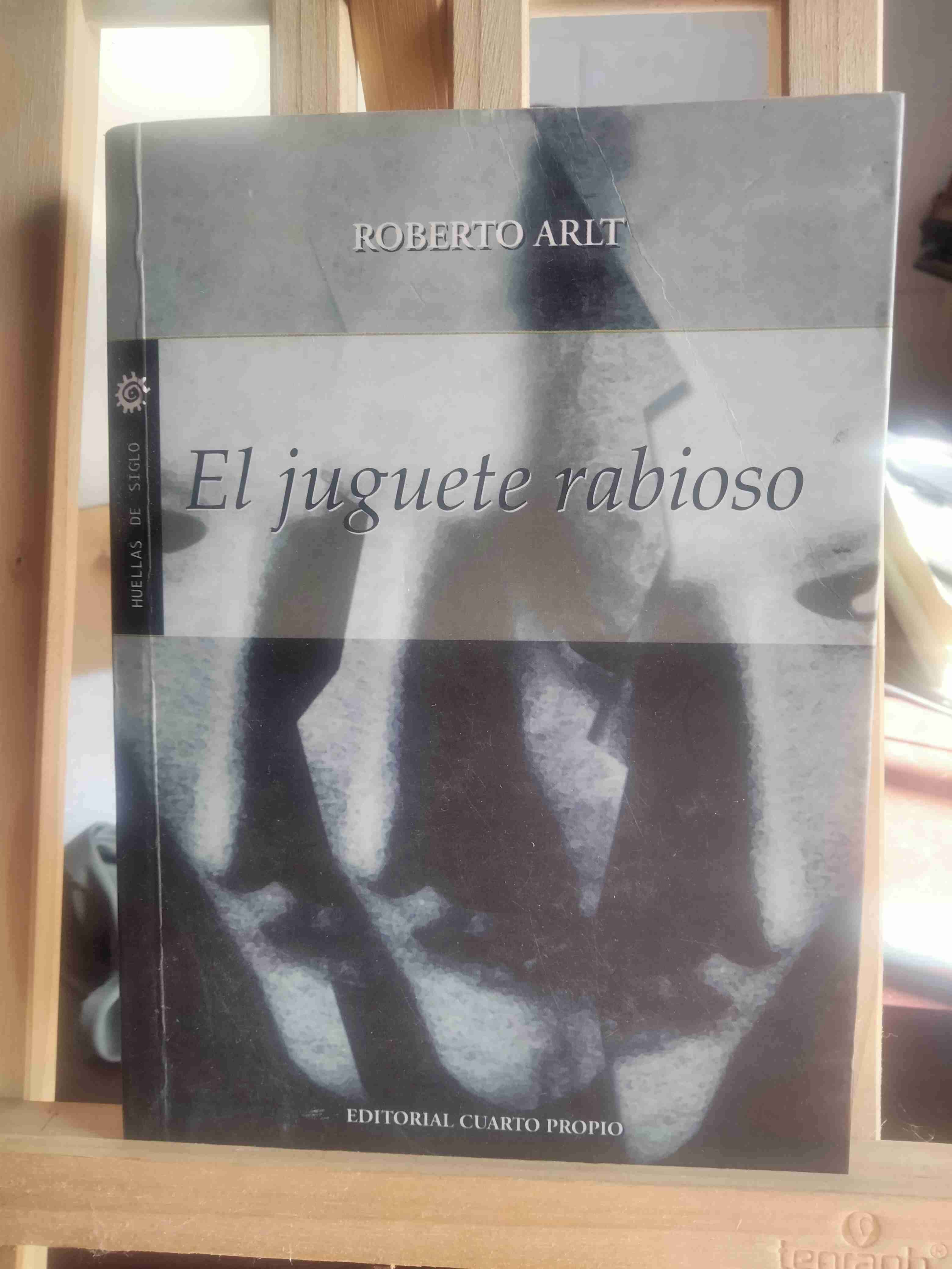 Libro El juguete rabioso