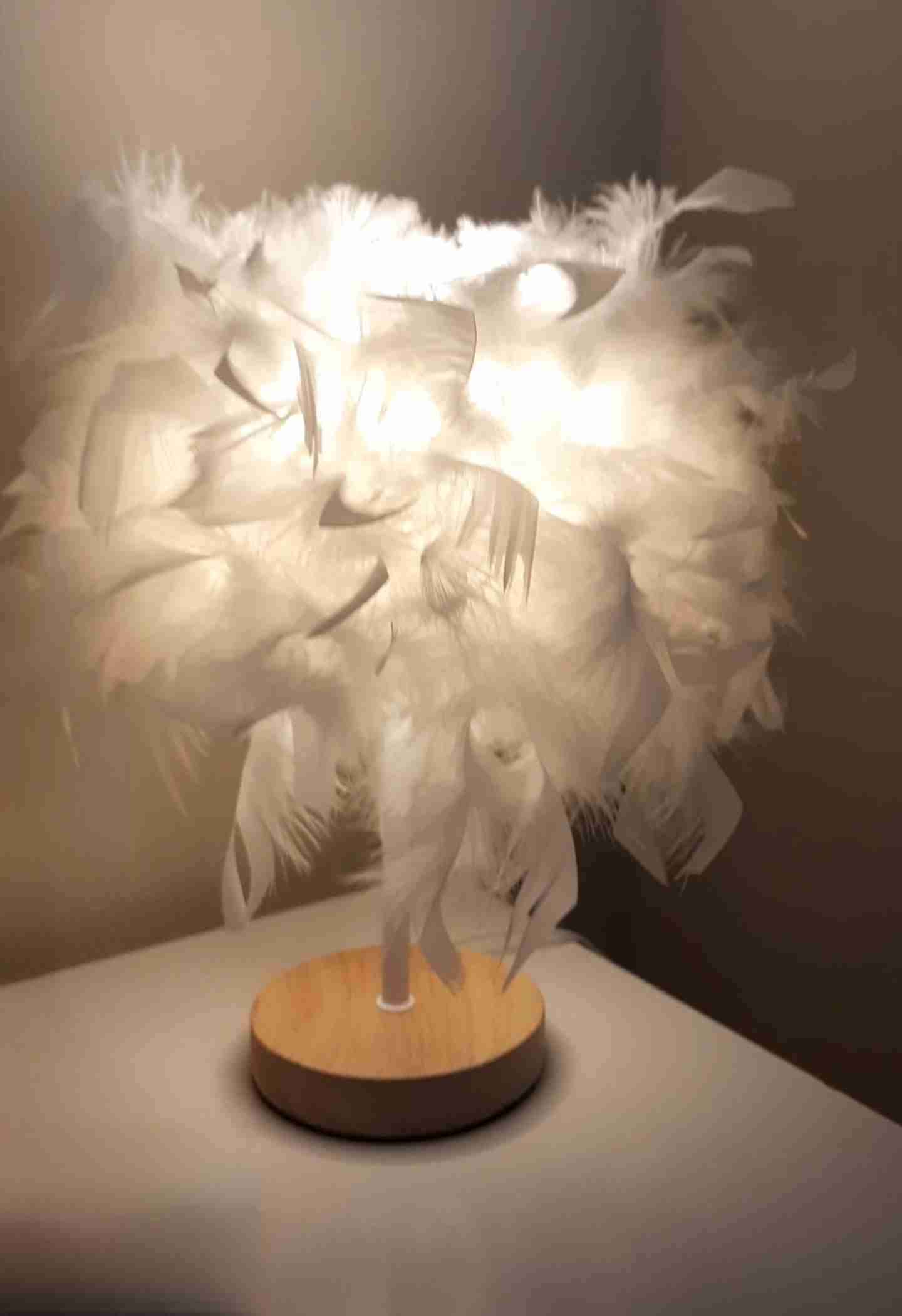 Lámparas Led de mesa con plumas - 1