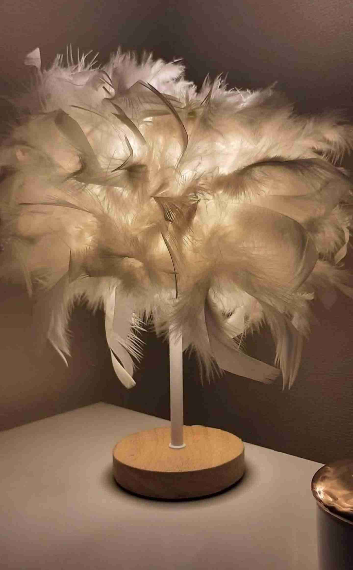 Lámparas Led de mesa con plumas - 3