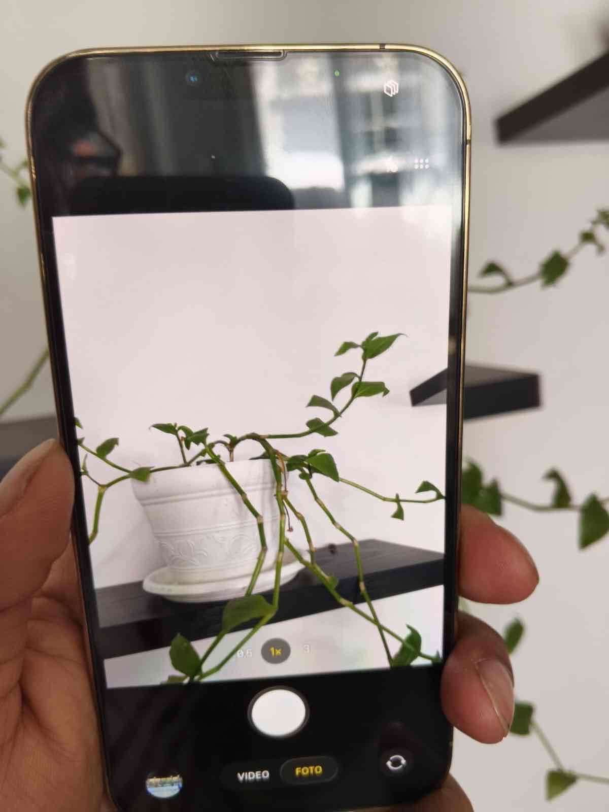 iPhone 13 Pro Max - miniatura 4