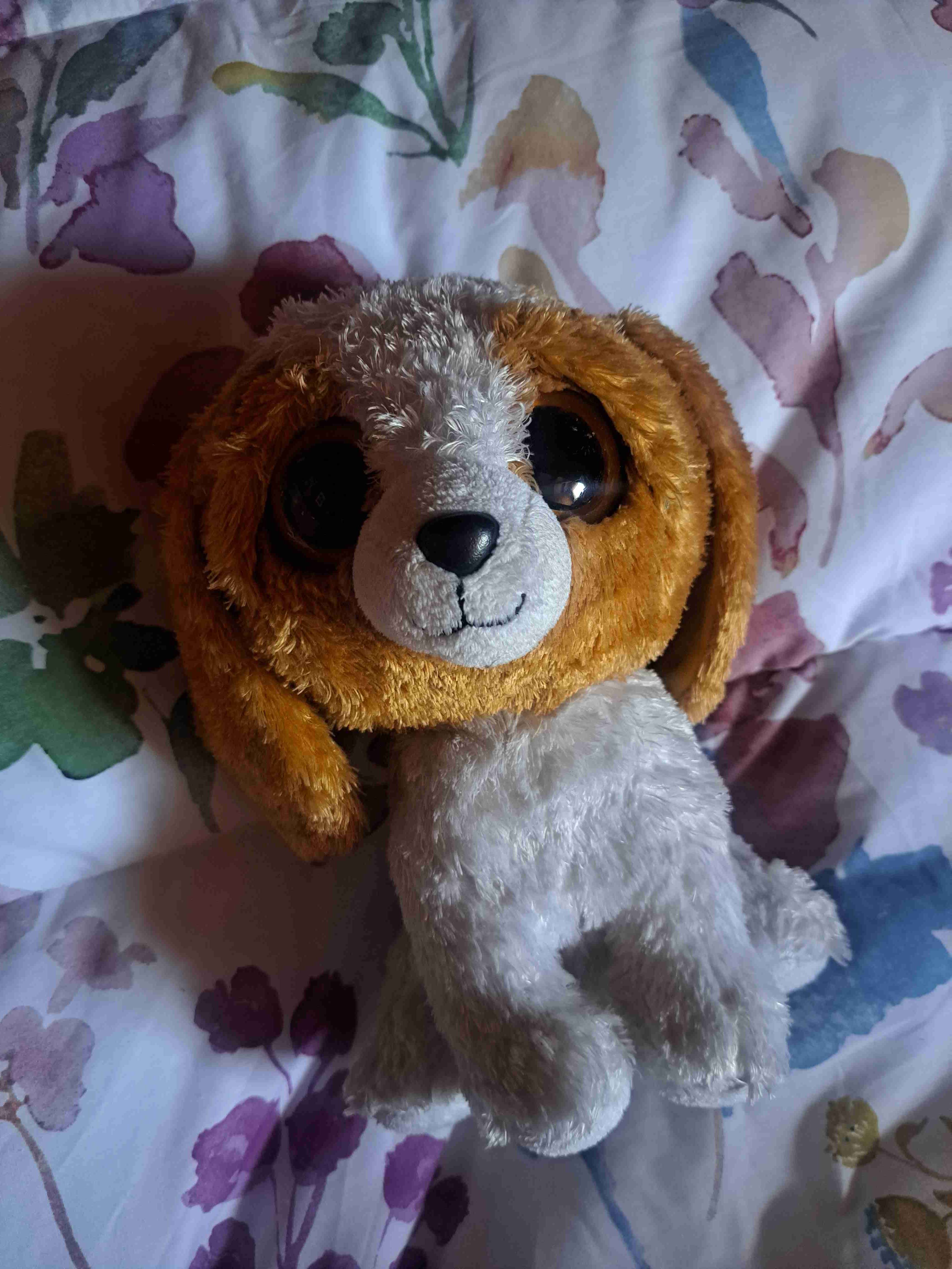 Peluche perro ojos grandes