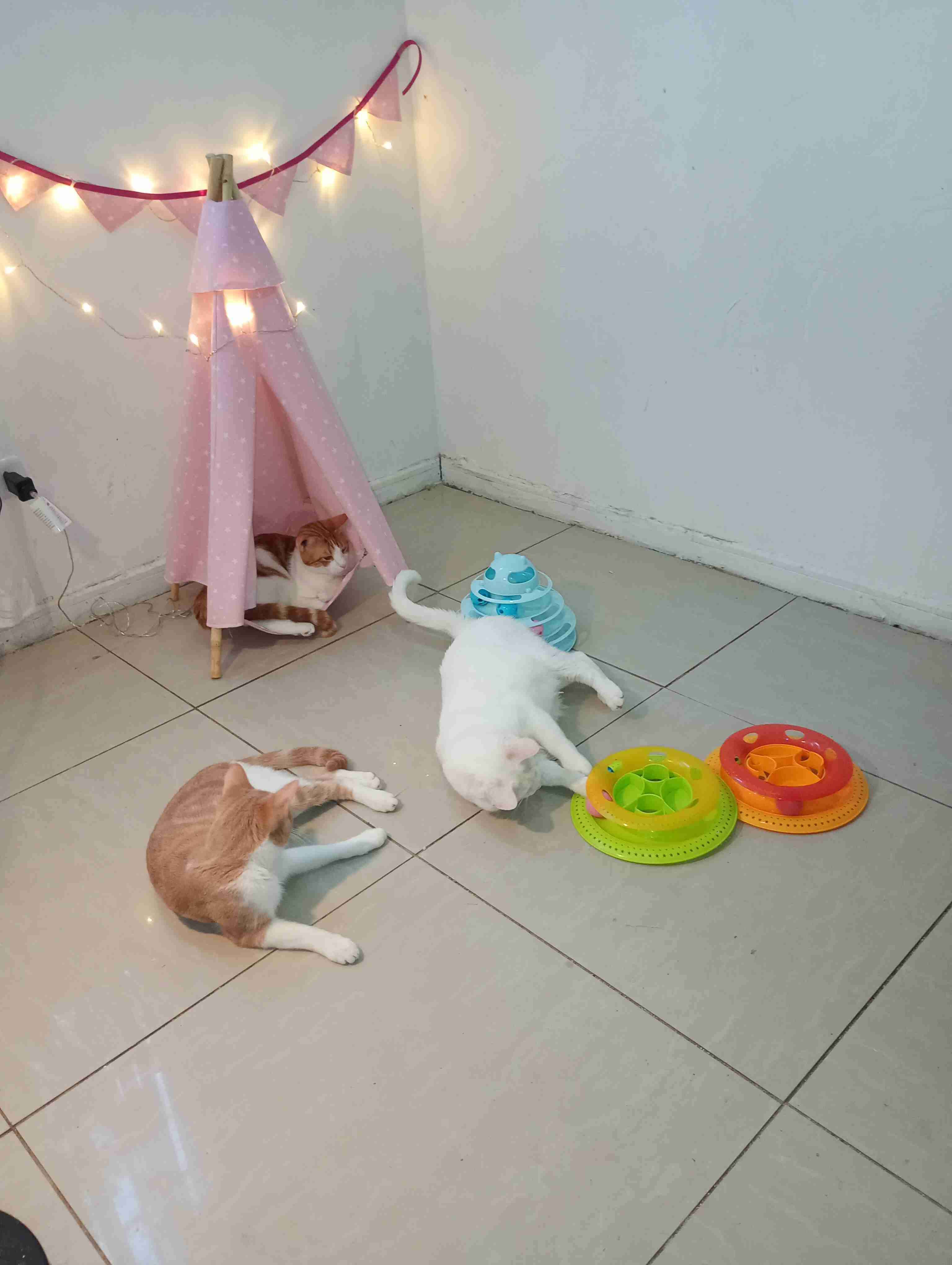 Carpa tipi para niños - miniatura 2