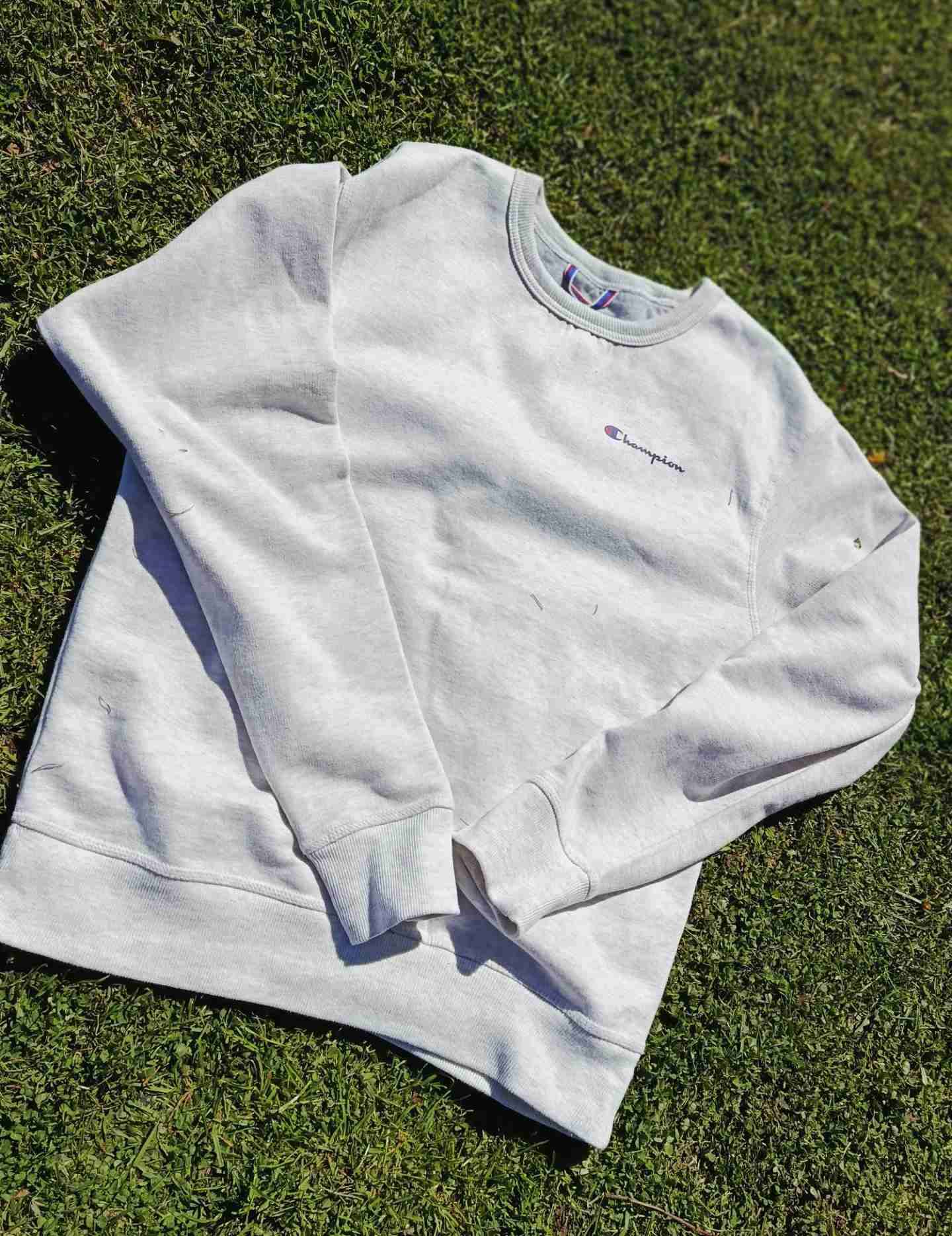 Polerón gris Champion - miniatura 1