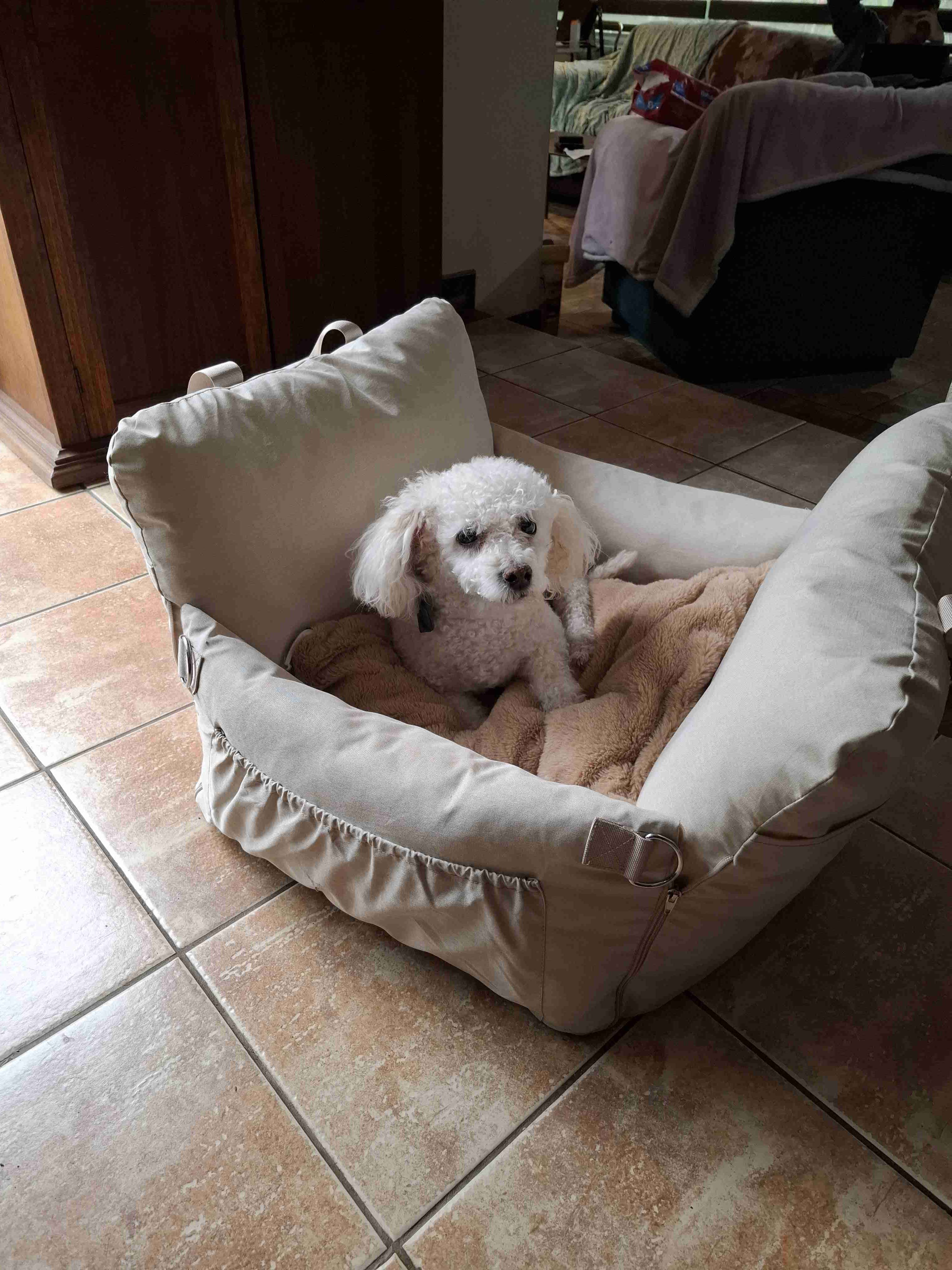 Cama acolchada para perro - miniatura 1