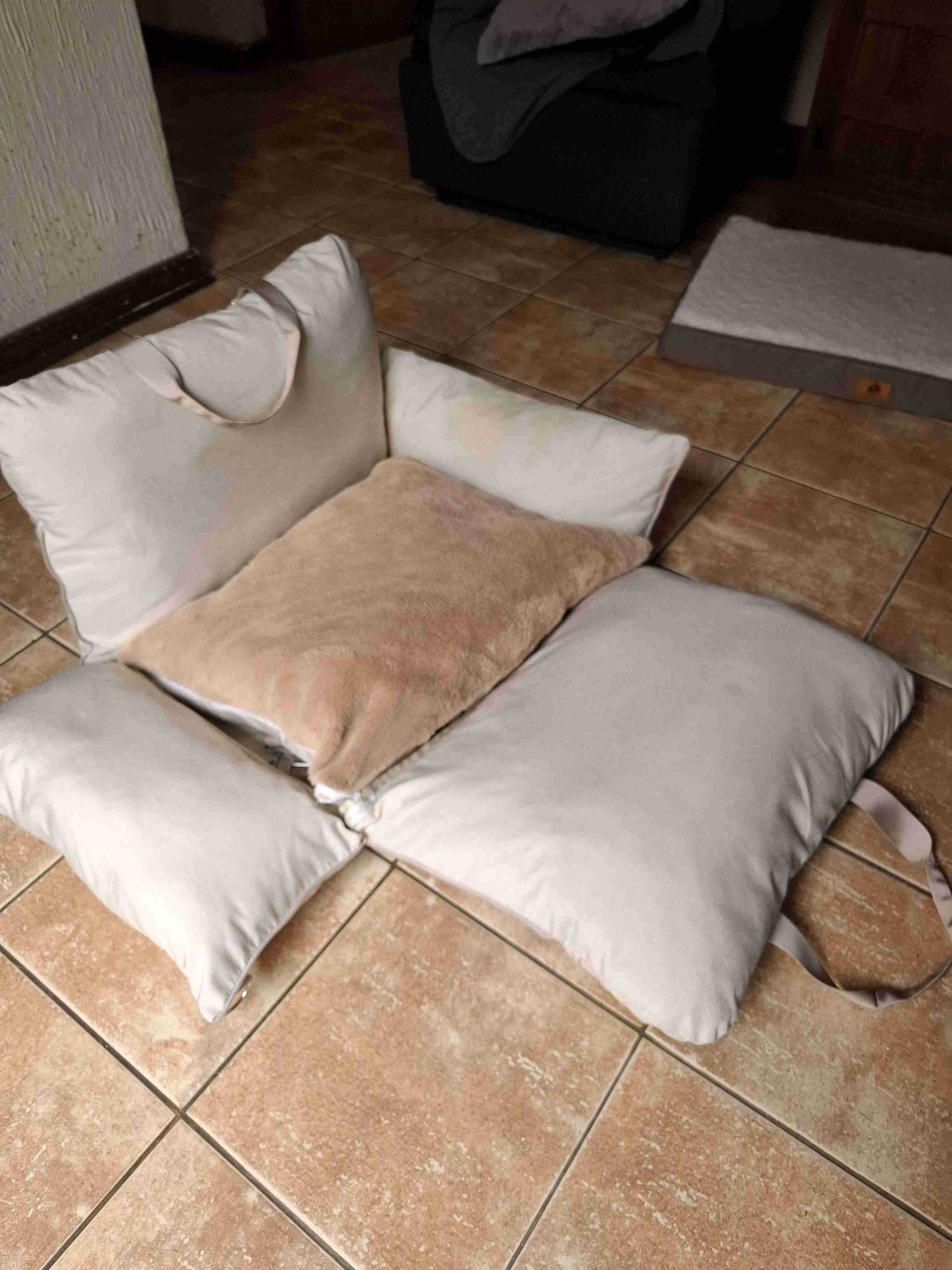 Cama acolchada para perro - miniatura 3