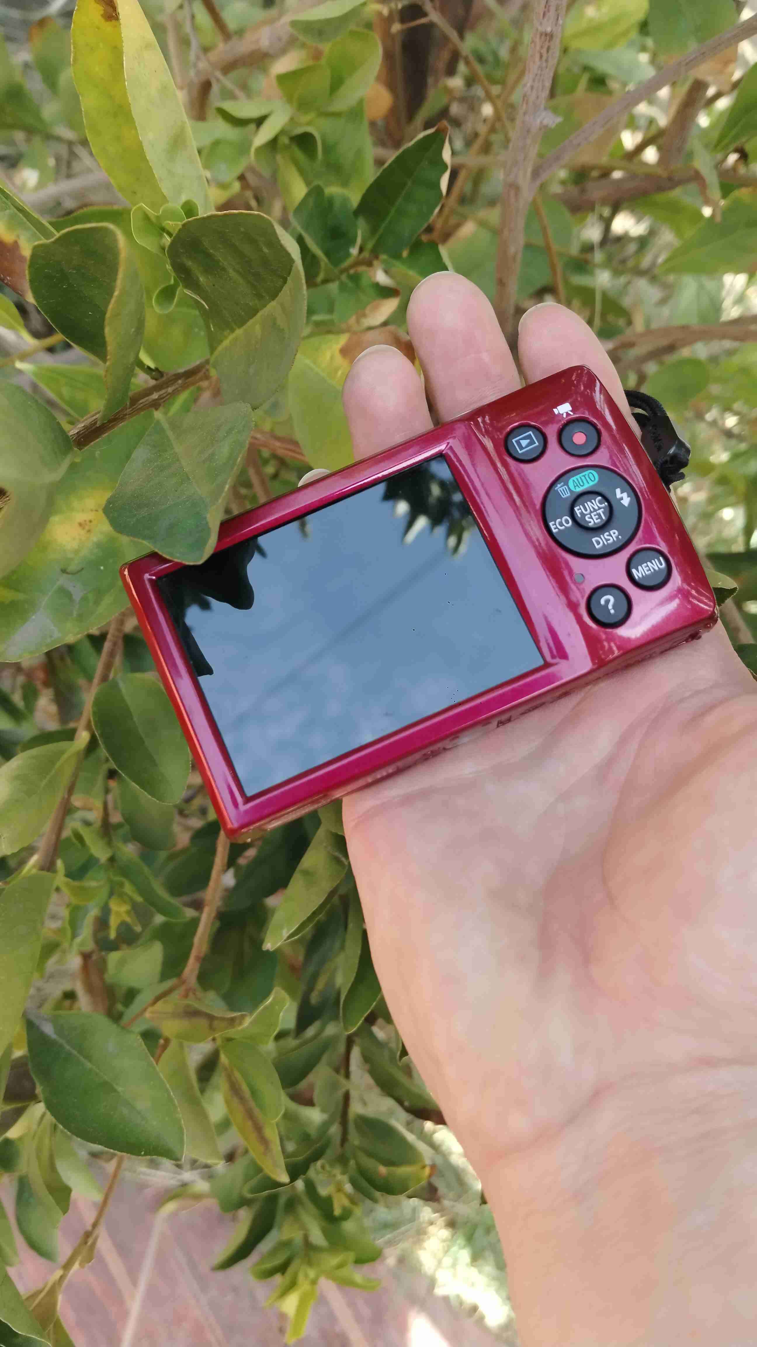 Cámara Canon PowerShot ELPH 135 roja - miniatura 2