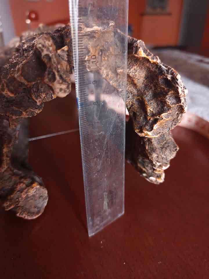 Tronco de acrílico para acuario - miniatura 2