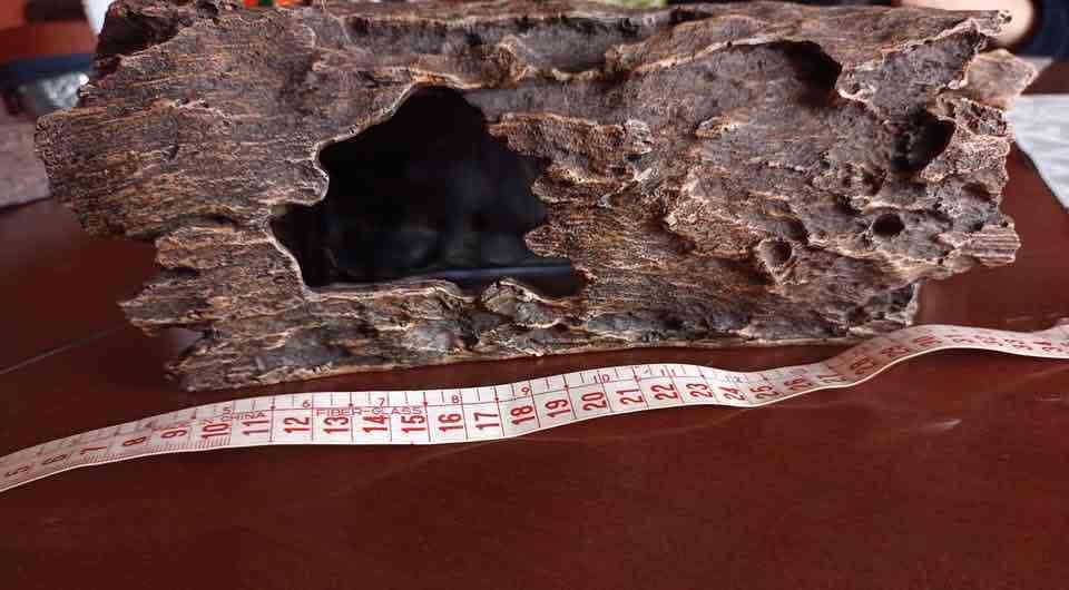 Tronco de acrílico para acuario - miniatura 3